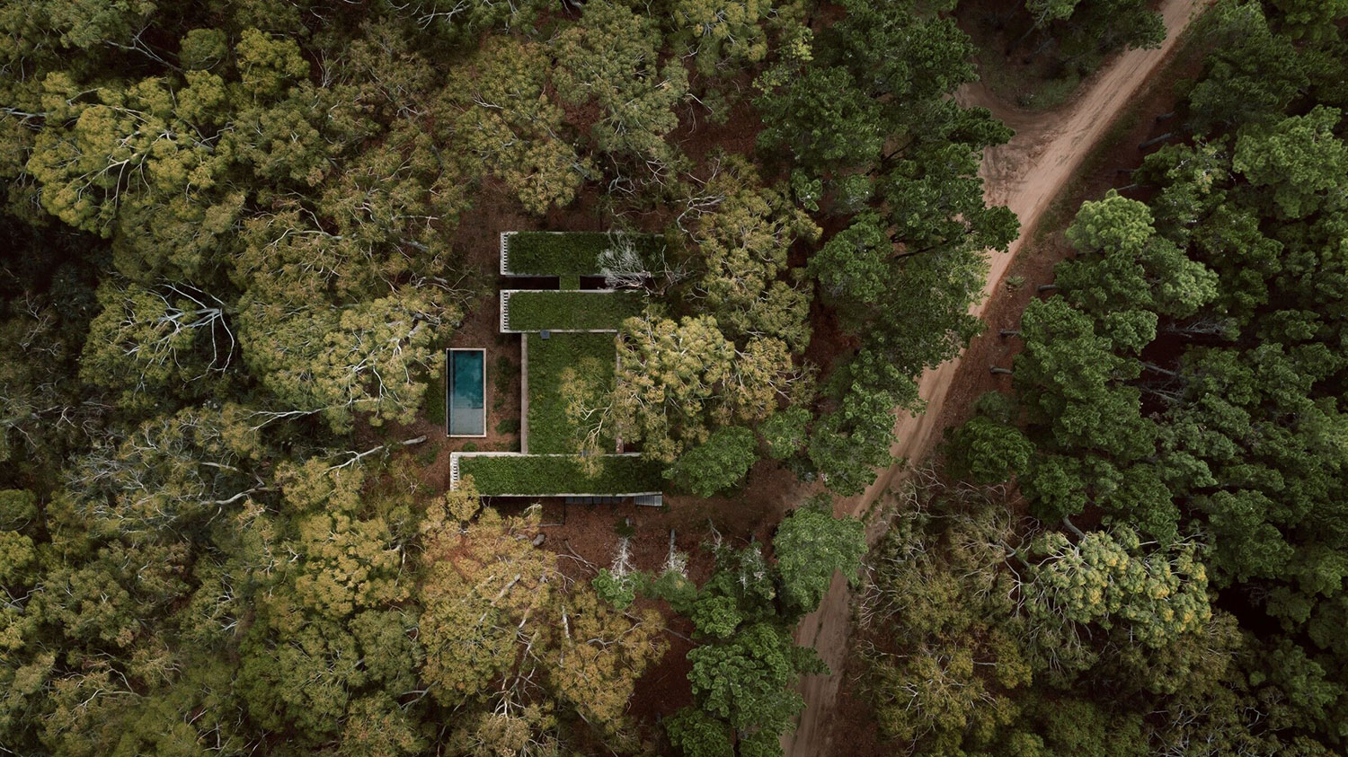 Forest House, Buenos Aires, Argentina / Gonzalo Bardach Arquitectura