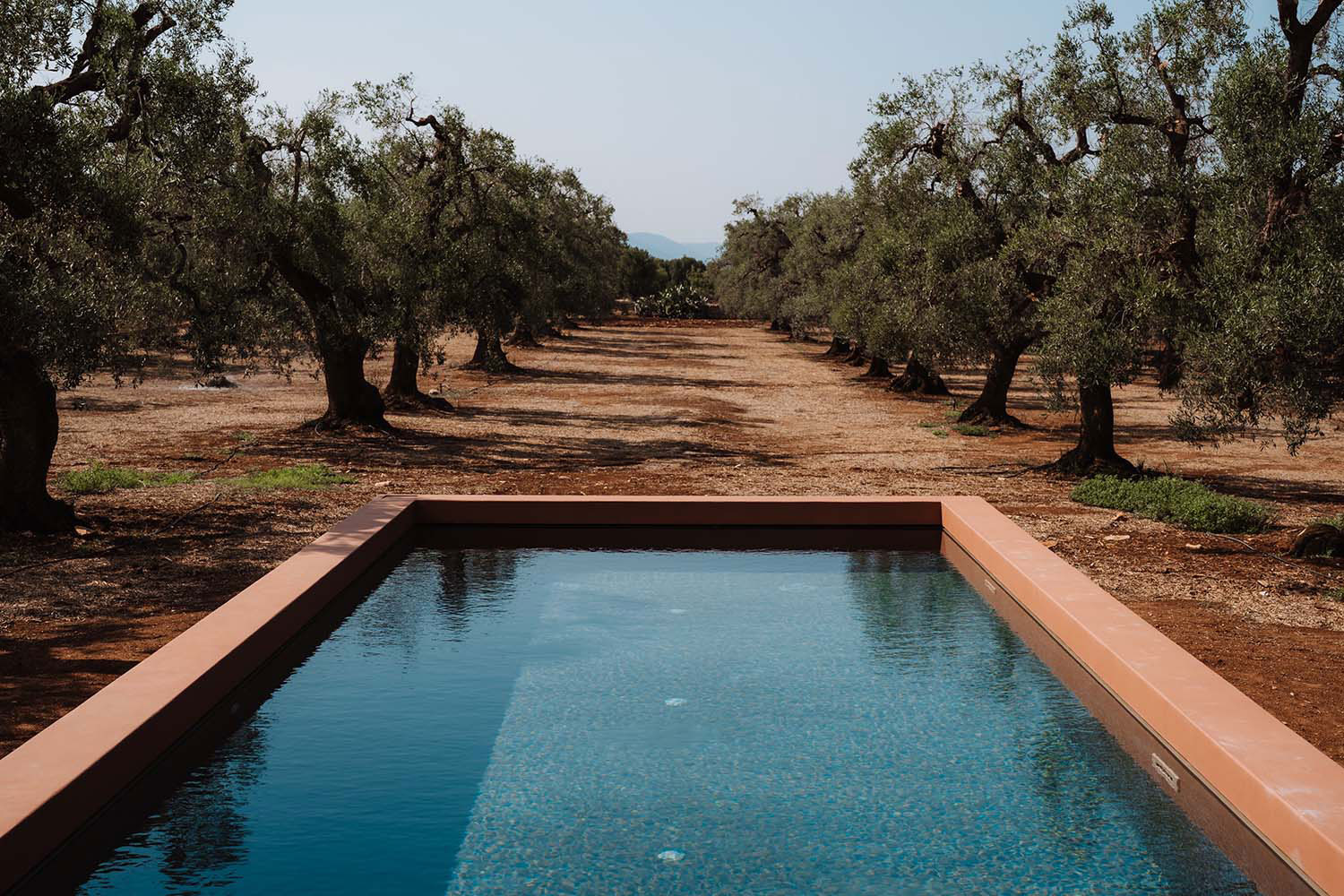 OZIO - Il trullo rosso | Silvia Indiveri e Rosalia Laghezza