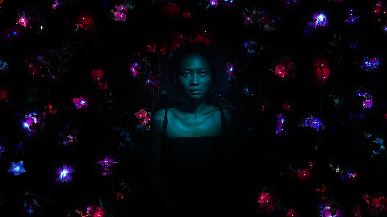 Studio Roosegaarde's Glowing Garden: A Magical World Through the Eyes of a Butterfly