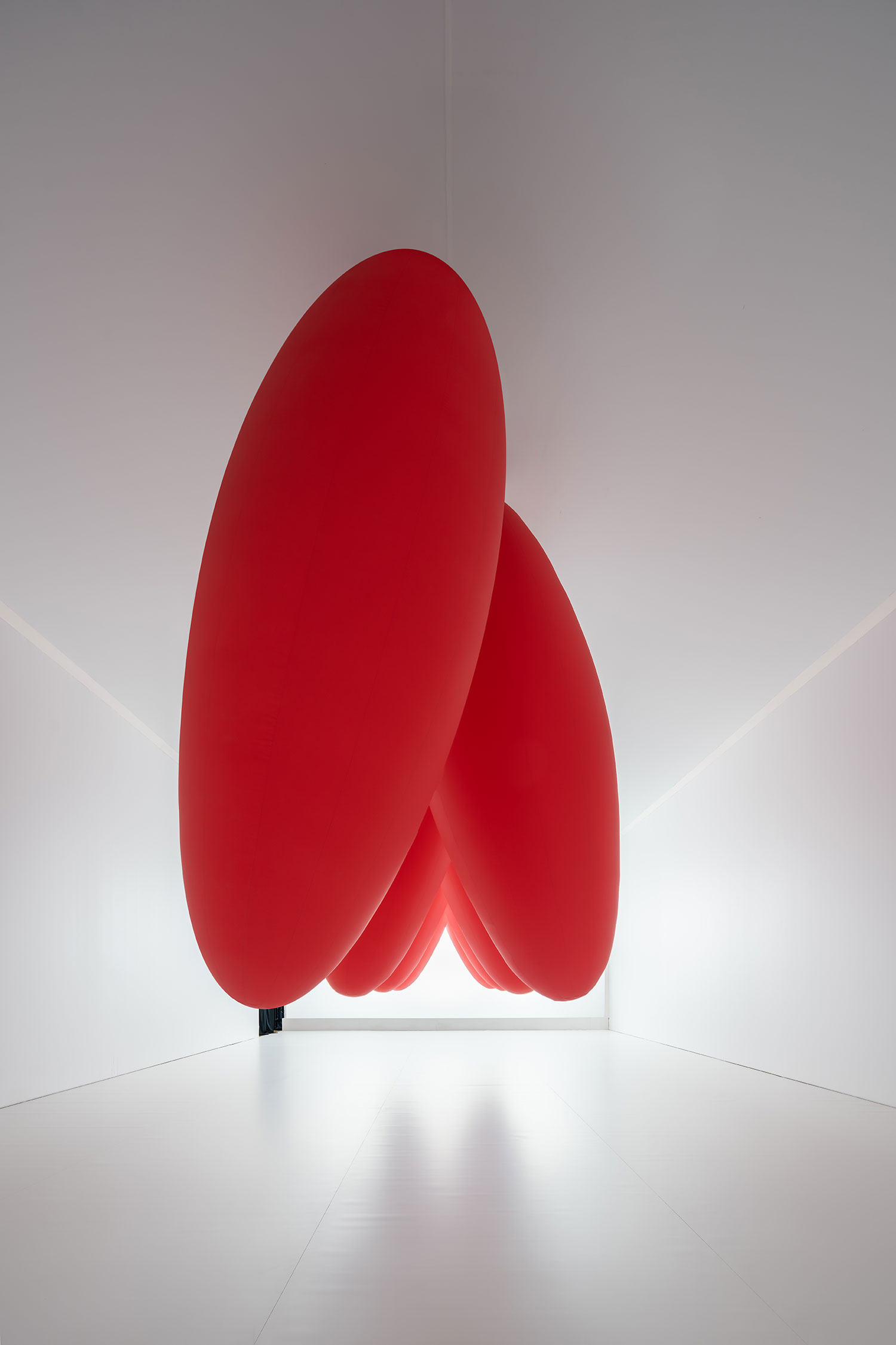 SpY's kinetic installation Ovoids, featuring eight red ovoids suspended in pendular motion. 1 Photo by Ruben PBescos.   