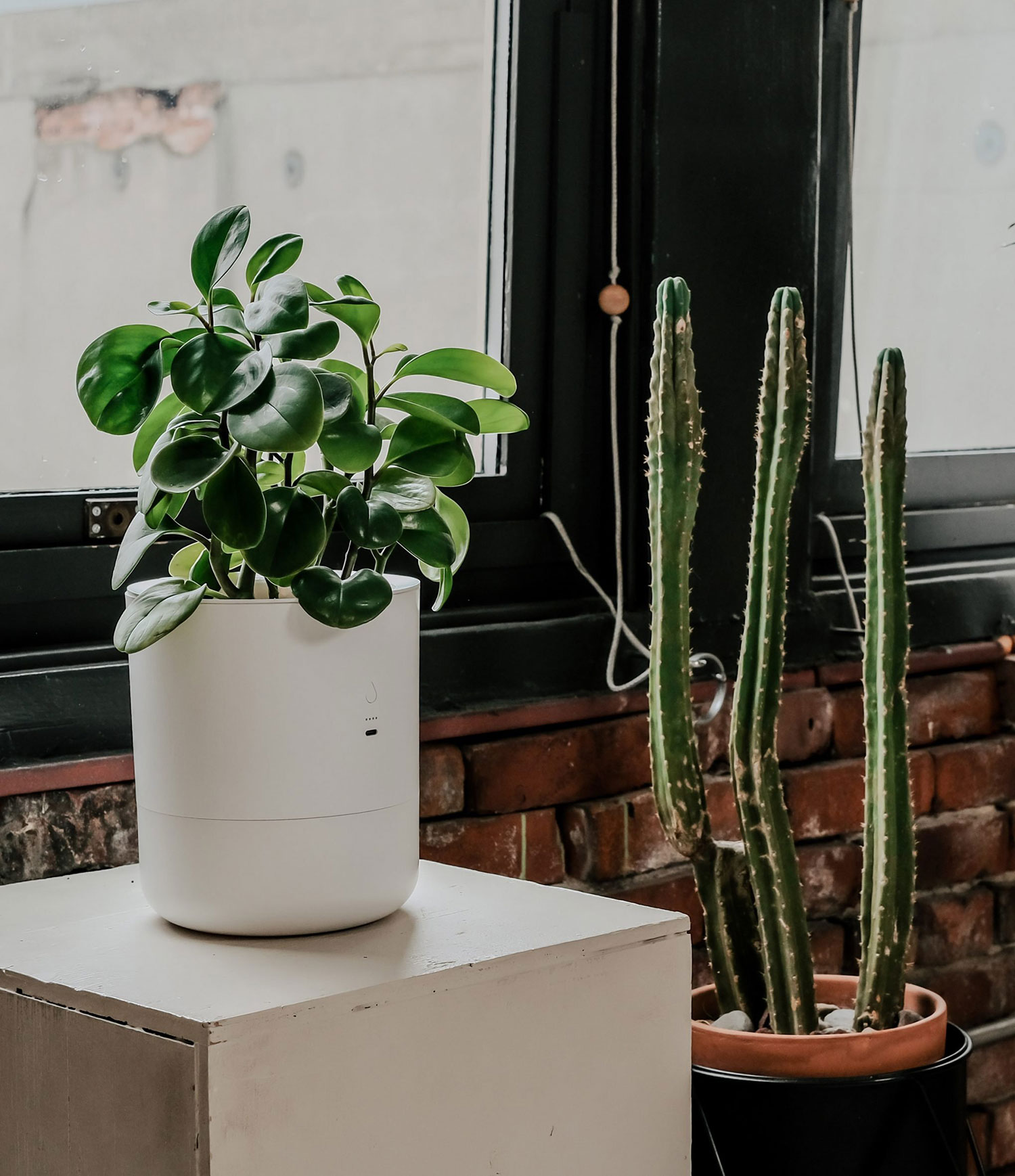 LeafyPod: The AI-Powered Plant Pot That Takes Care of Your Plants