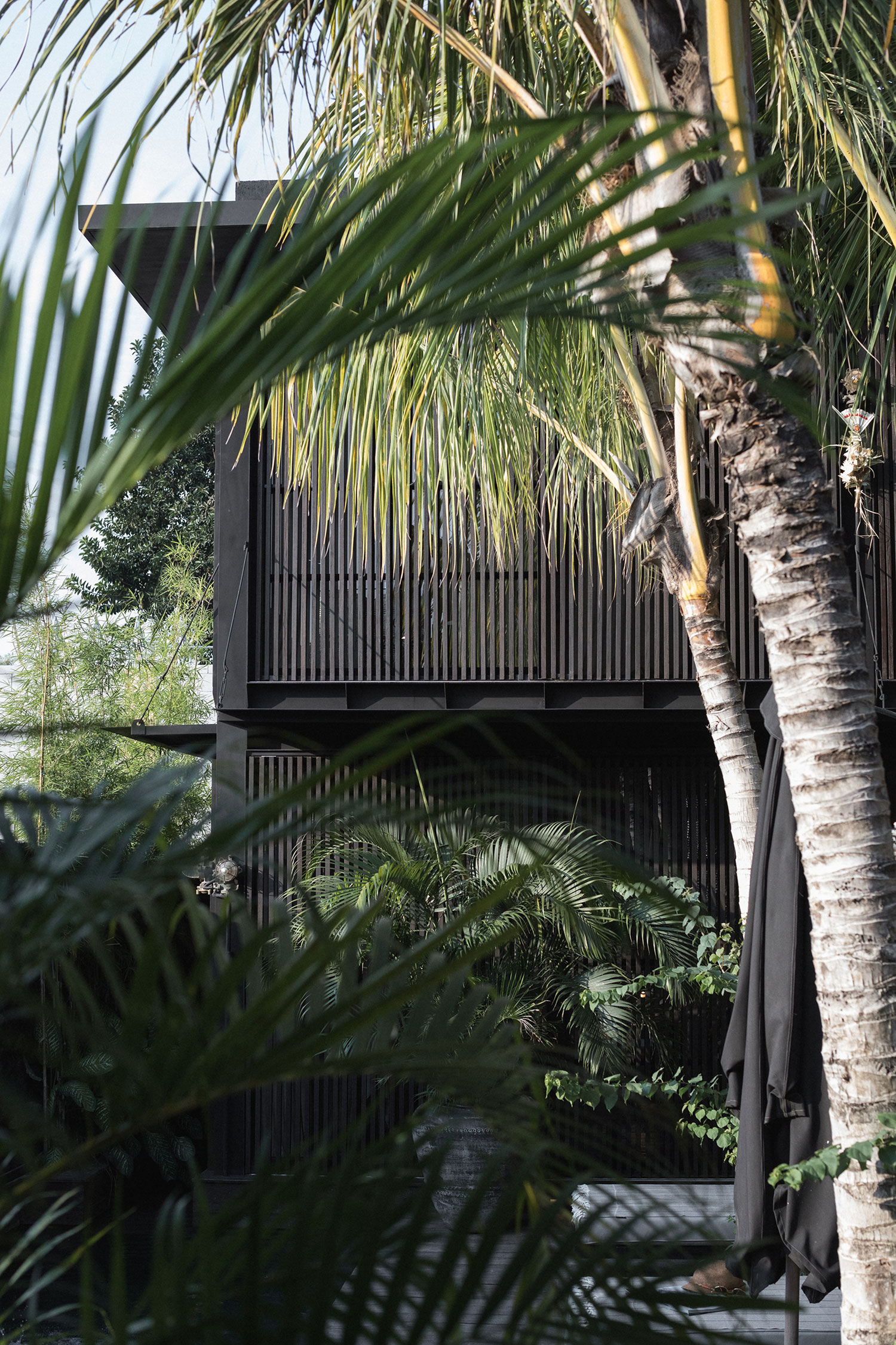 The Bohemian Bali: Where Raw Meets Refined in Canggu