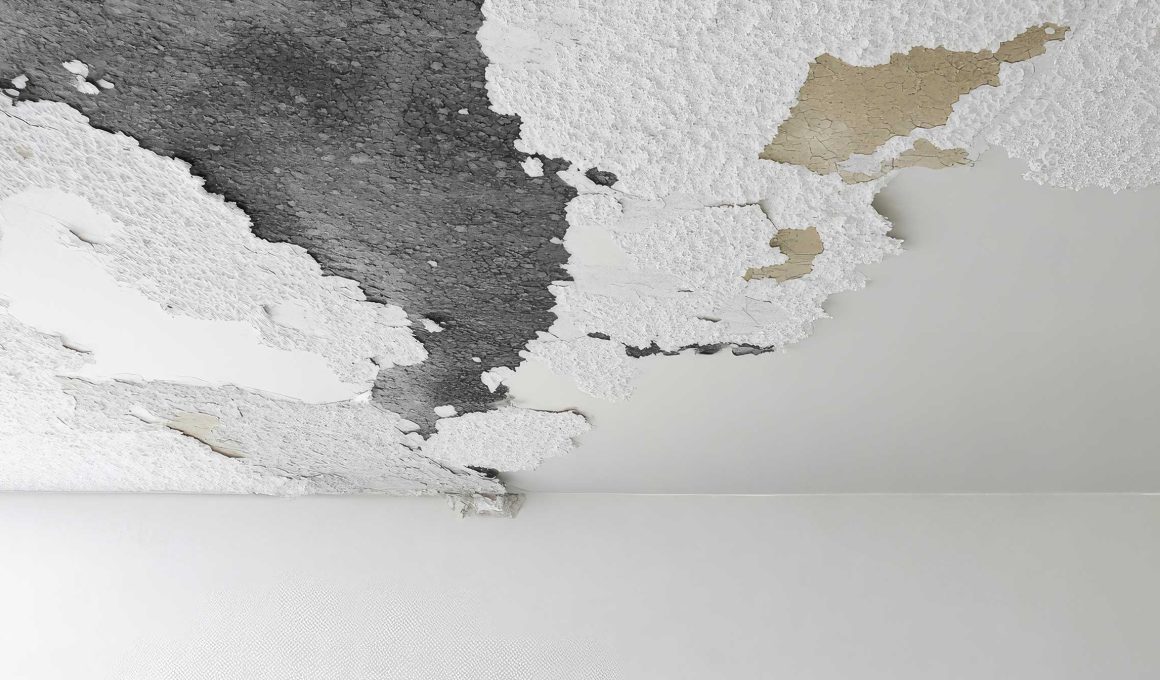 Health Risks Linked to Mold and Water Damage