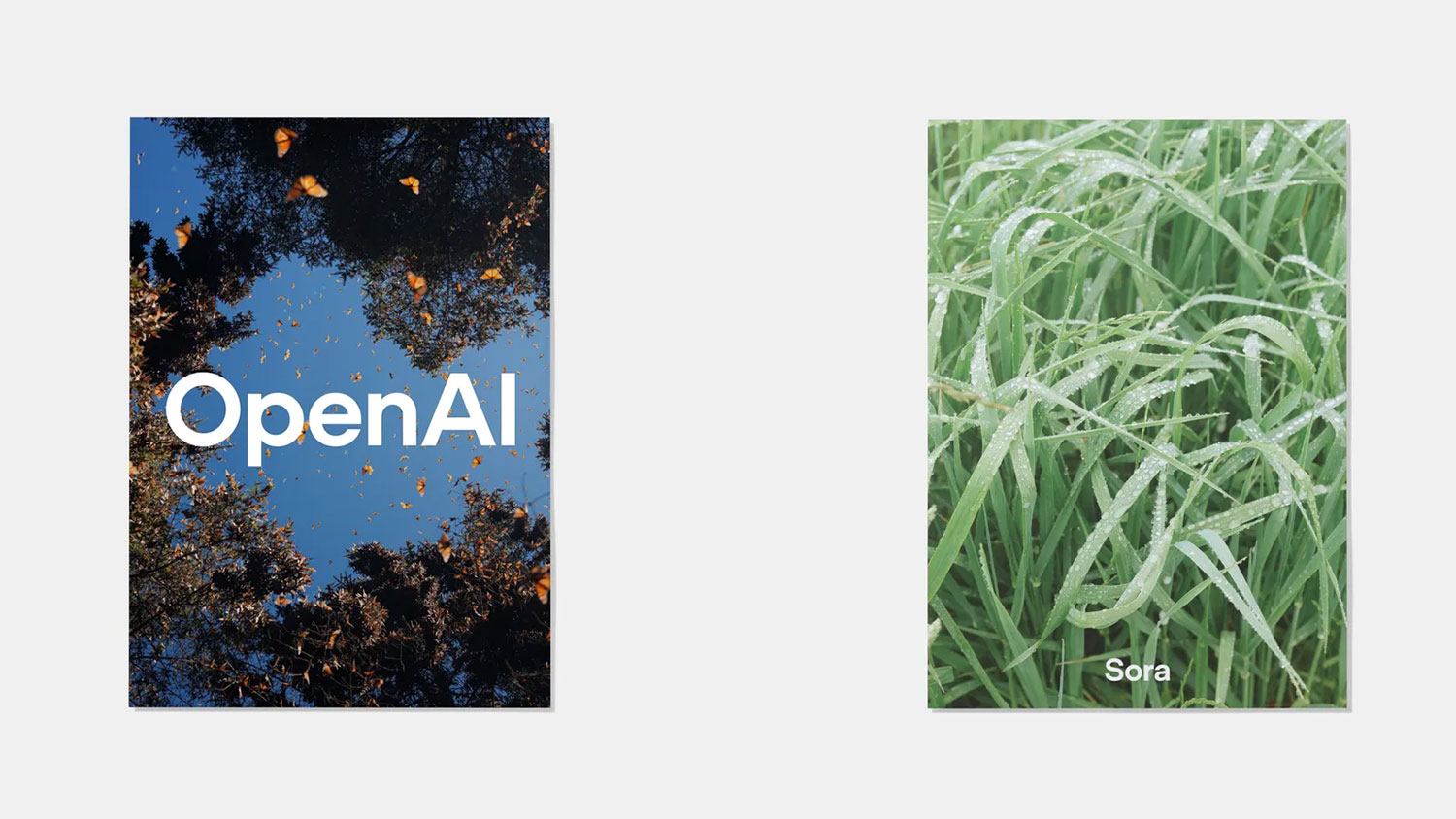 OpenAI Rebrand: A New Look for the AI Revolution (ChatGPT, Sora, & More)