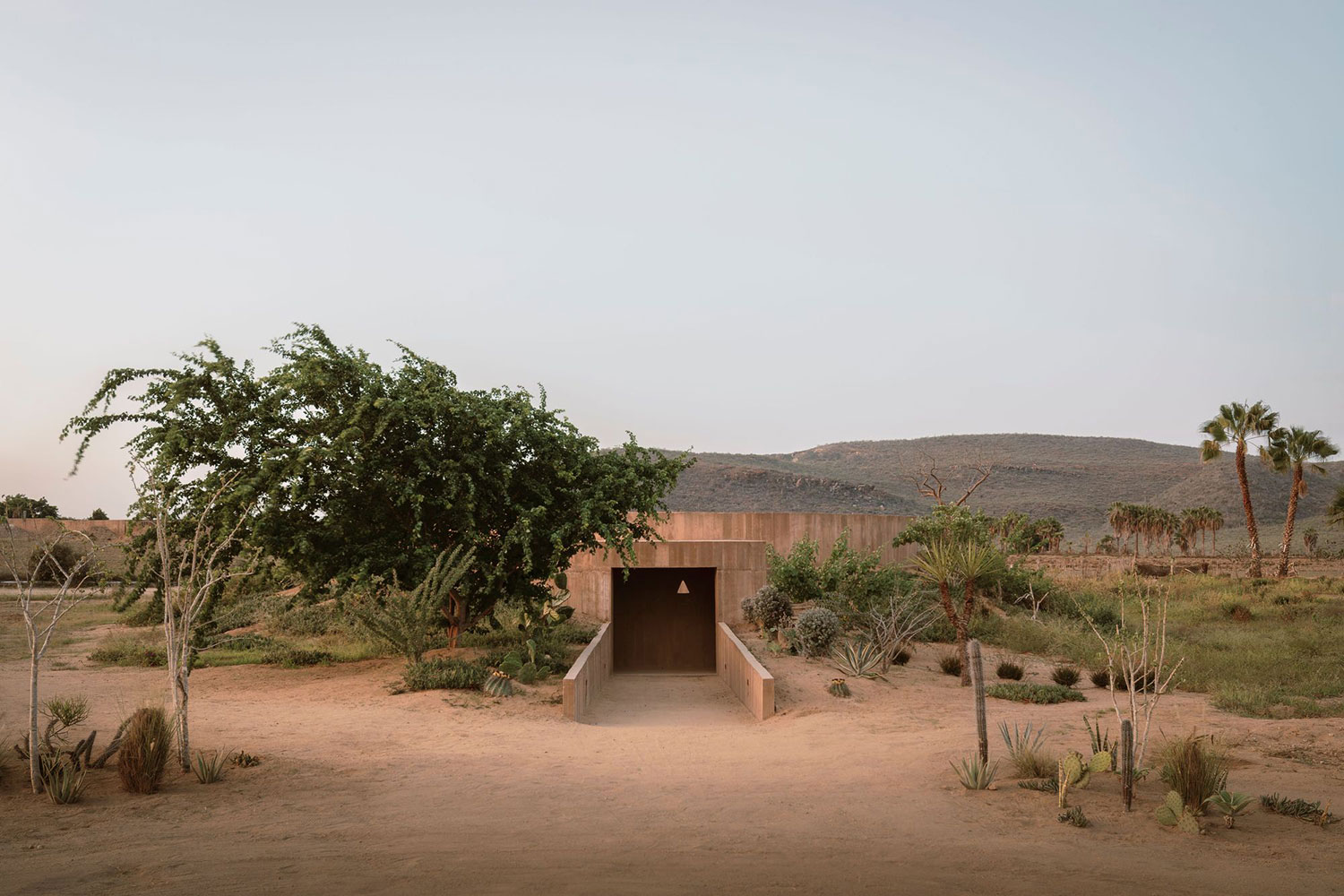 A Desert Sanctuary: Rubén Valdez's Spiritual Enclosure in Todos Santos
