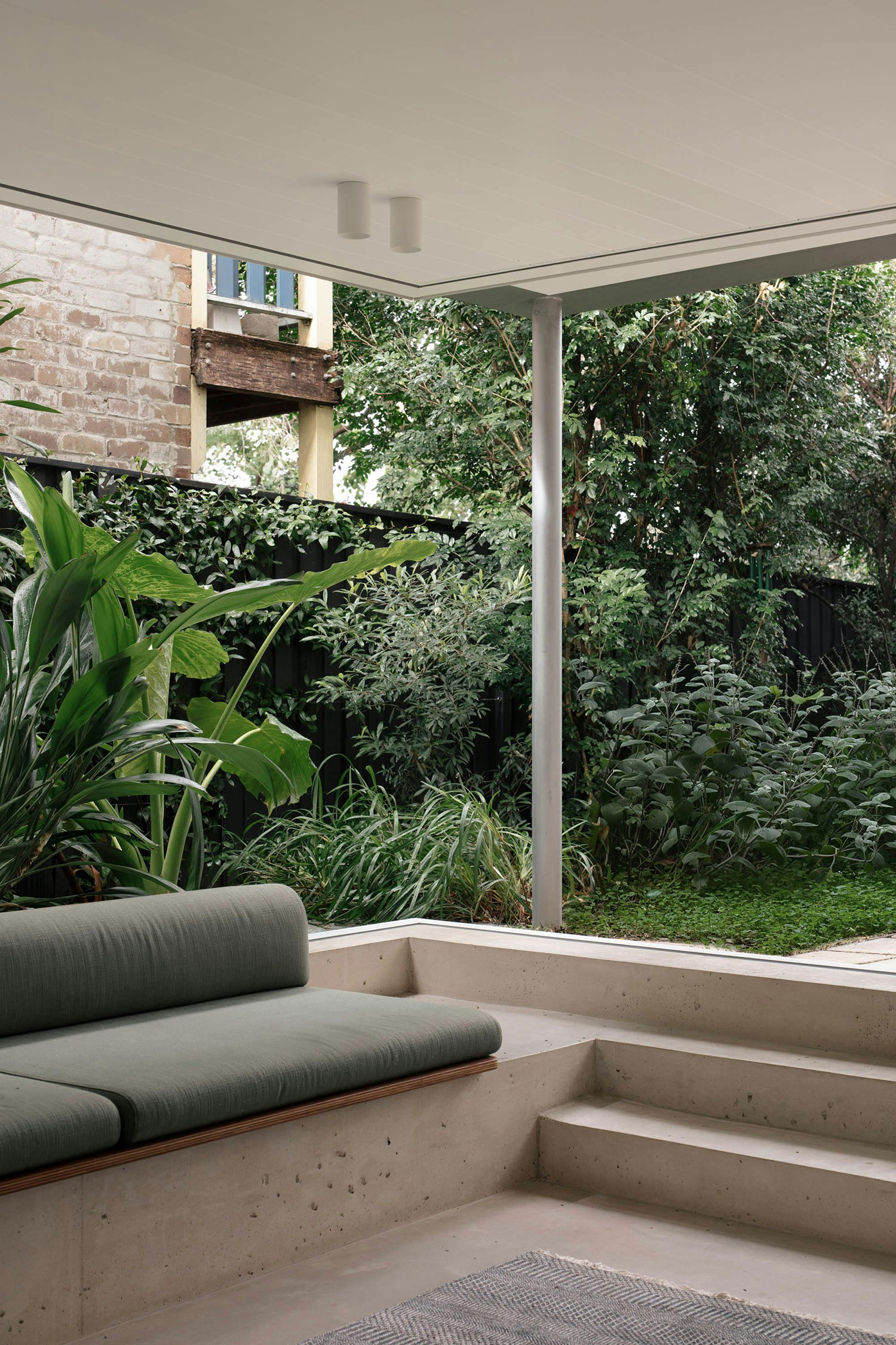 Rooted and Reaching: Retallack Thompson's Tree House