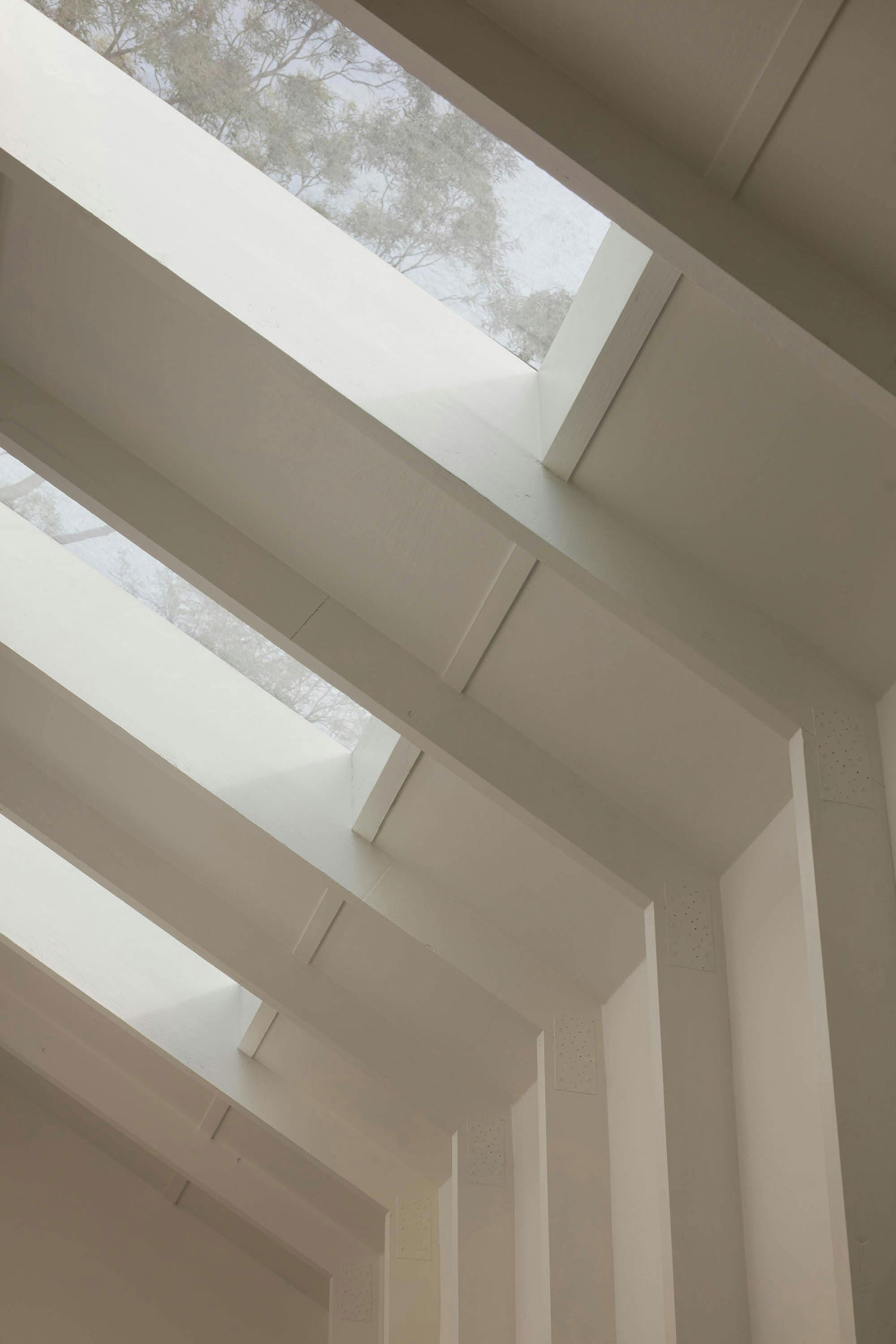 Rooted and Reaching: Retallack Thompson's Tree House