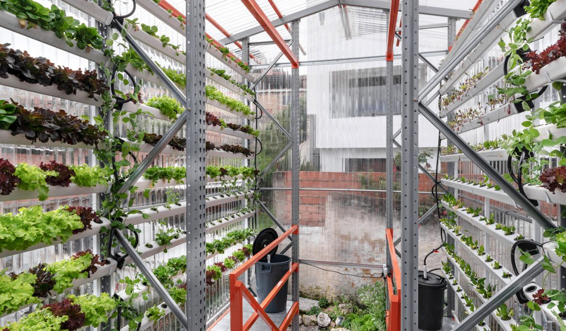 Alsar-Atelier: Hydroponic Module Cultivates Bogotá Community