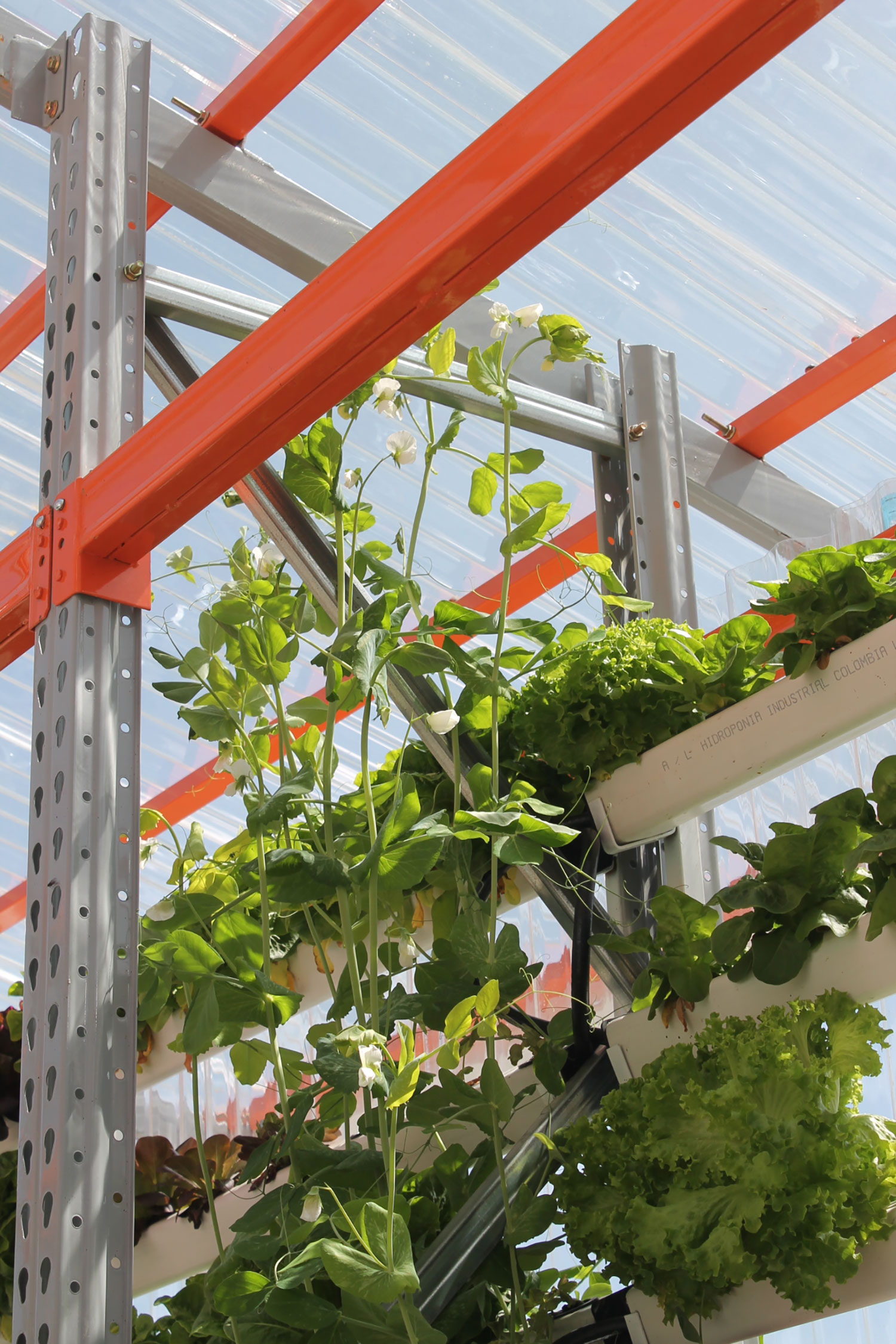 Alsar-Atelier: Hydroponic Module Cultivates Bogotá Community