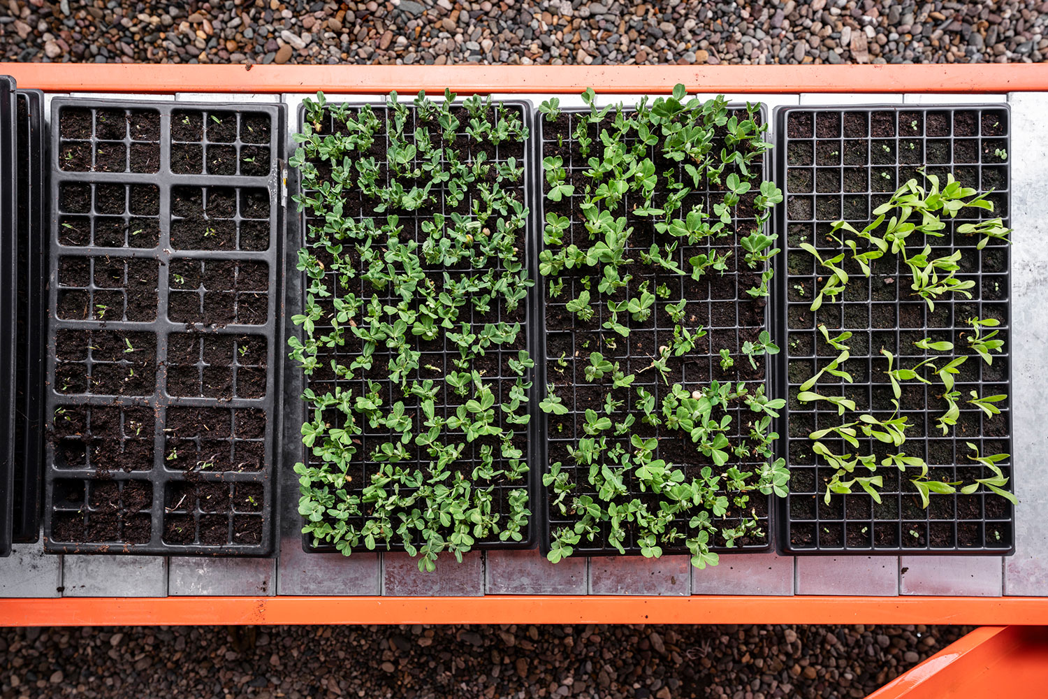 Alsar-Atelier: Hydroponic Module Cultivates Bogotá Community