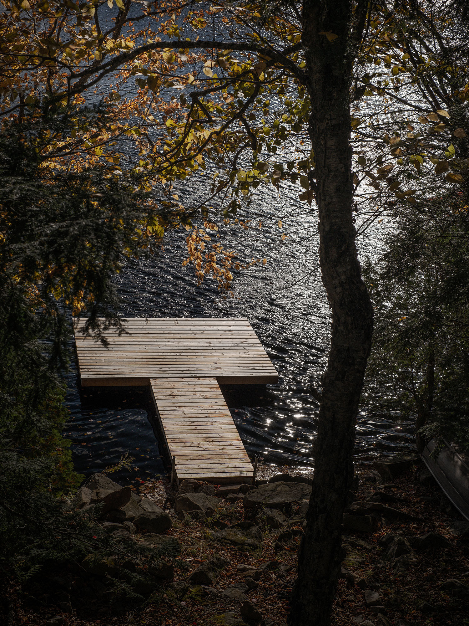 Tsuga Residence by APPAREIL Architecture: Perched Living Above a Laurentian Lake