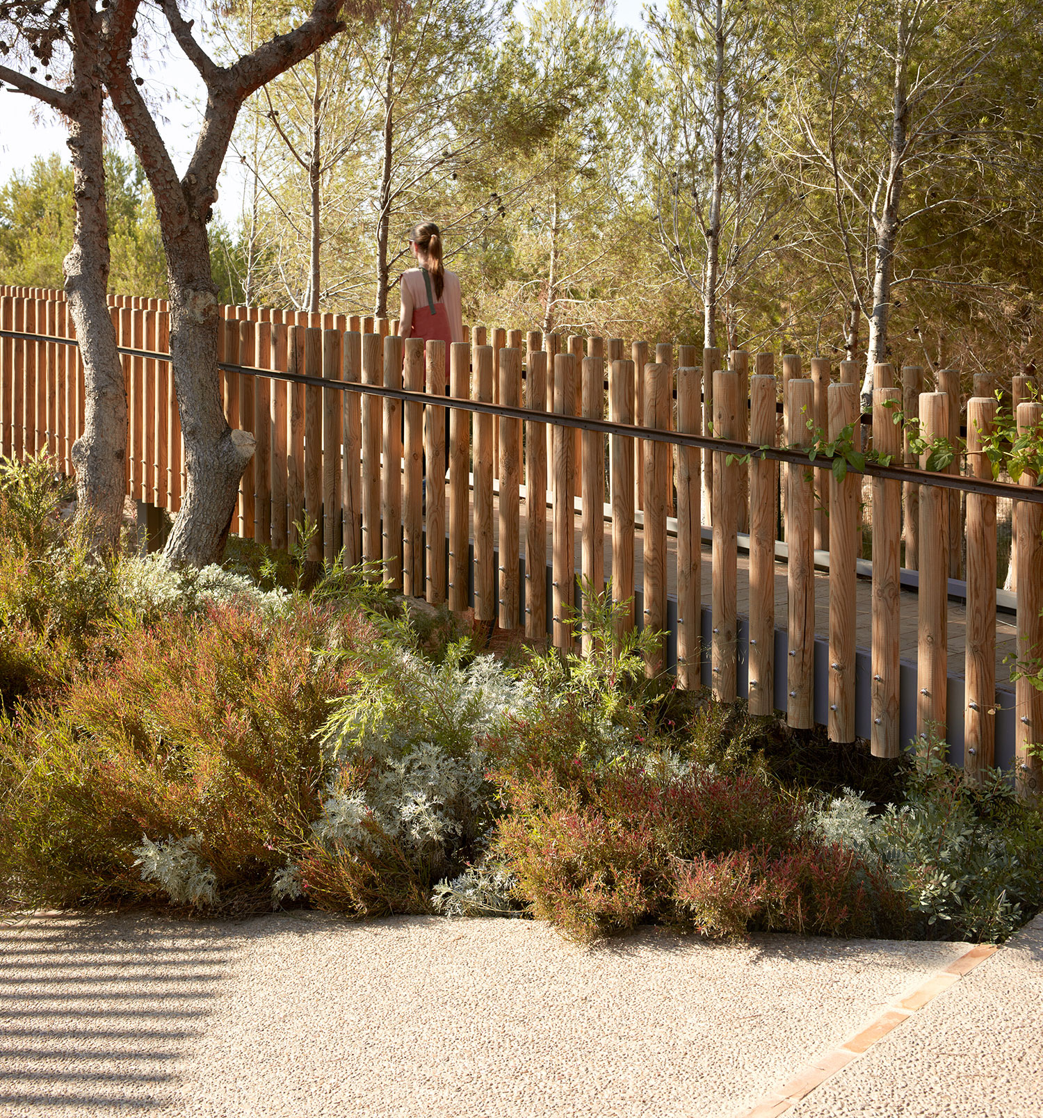 Imagine Montessori School: Nature-Inspired Architecture in Valencia