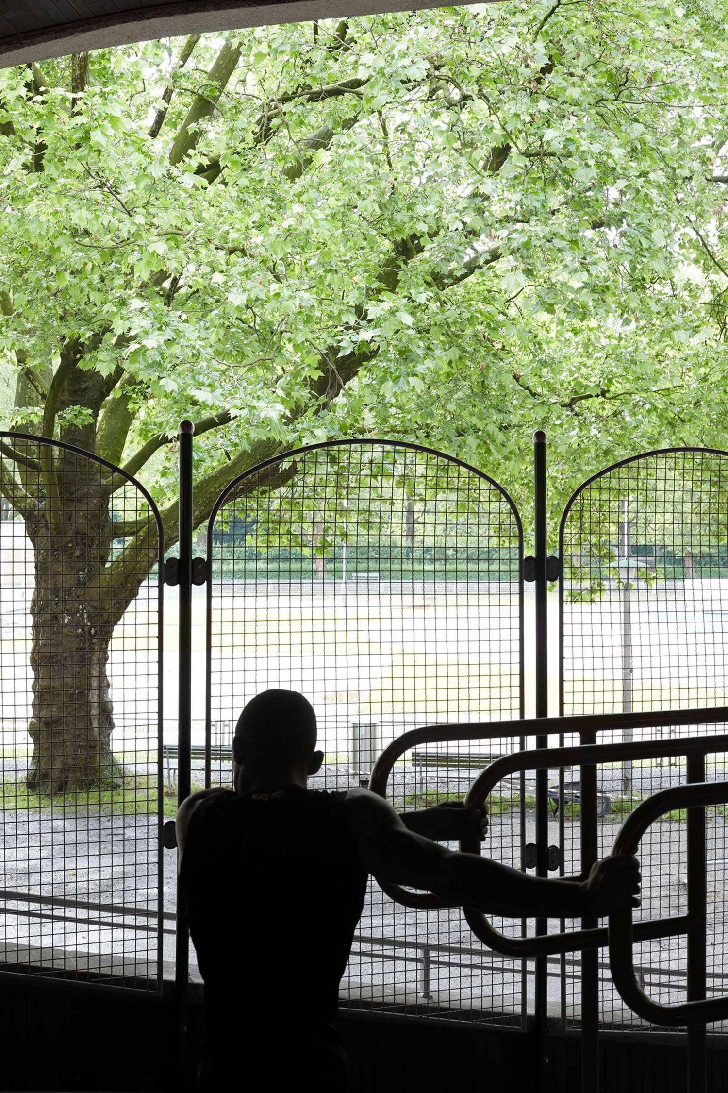Calisthenics in Zurich: Sihlhölzli Pavilion Reborn