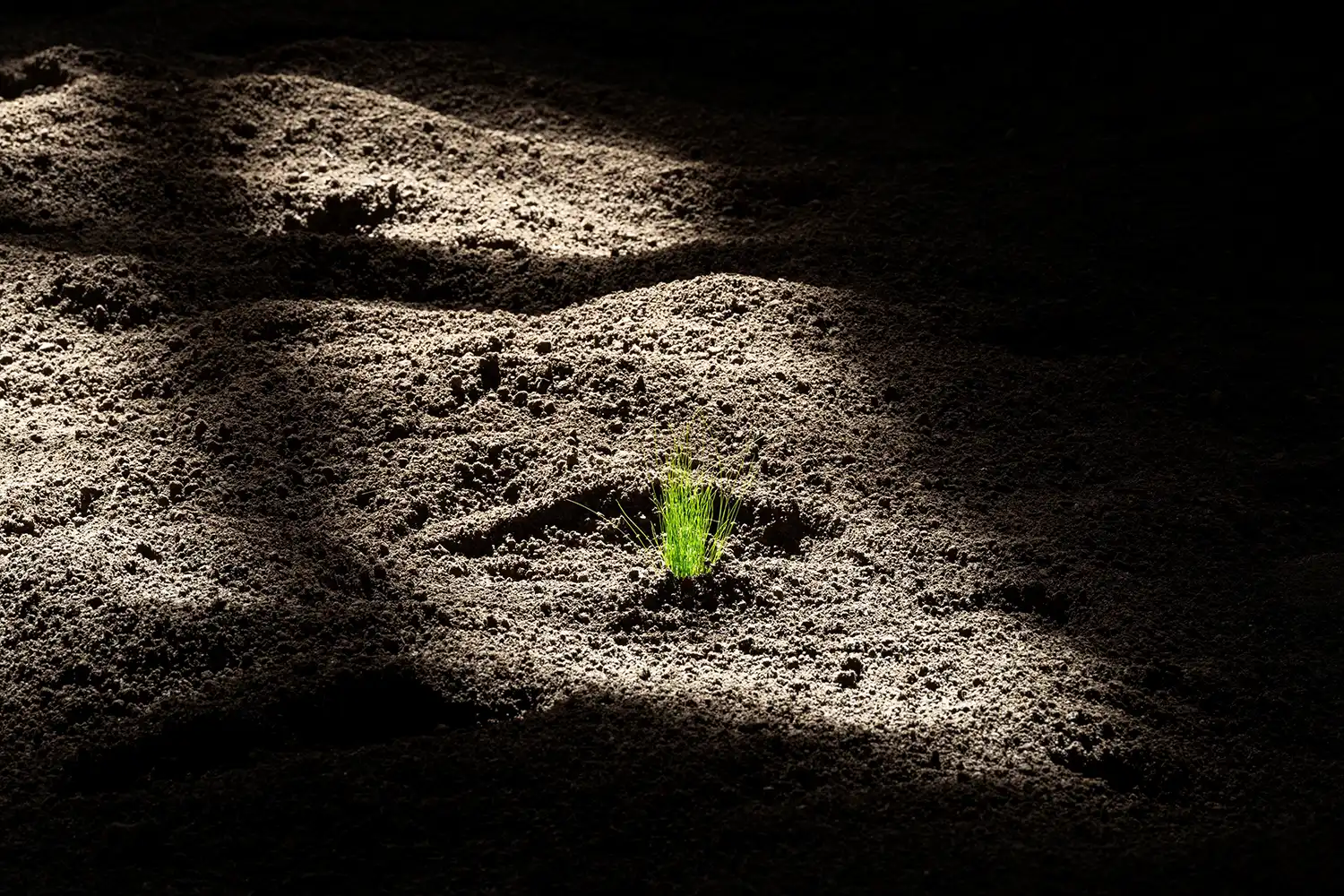 Where Ruins Bloom: Nico Vascellari's "Pastorale" at Palazzo Reale