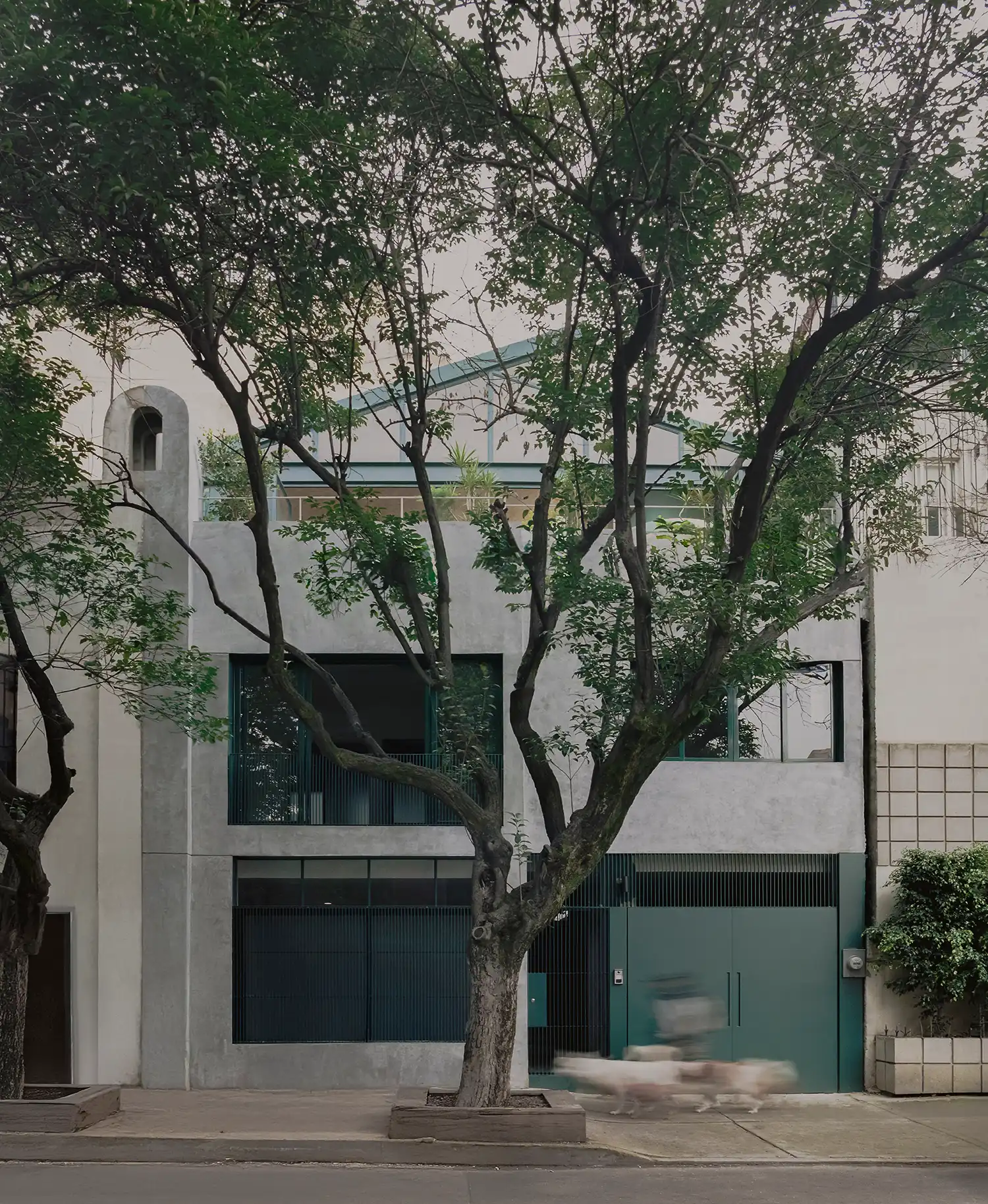 Casa Sofia by AMASA Estudio Revitalizes a 1940s Home in Mexico City’s Colonia Roma