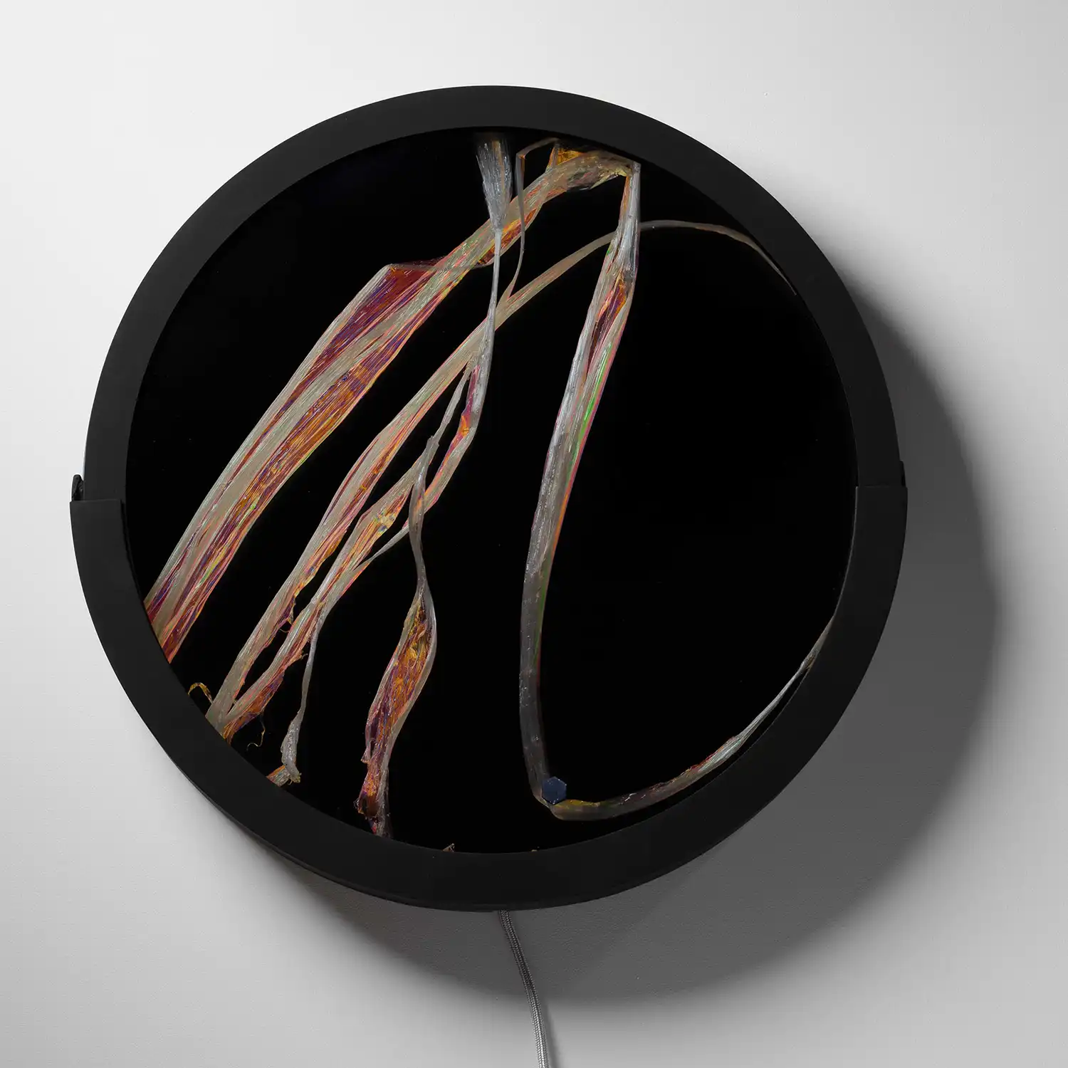 Catrinel Sabaciag’s Light Sculptures: Morfoza, InBloom & Zenit