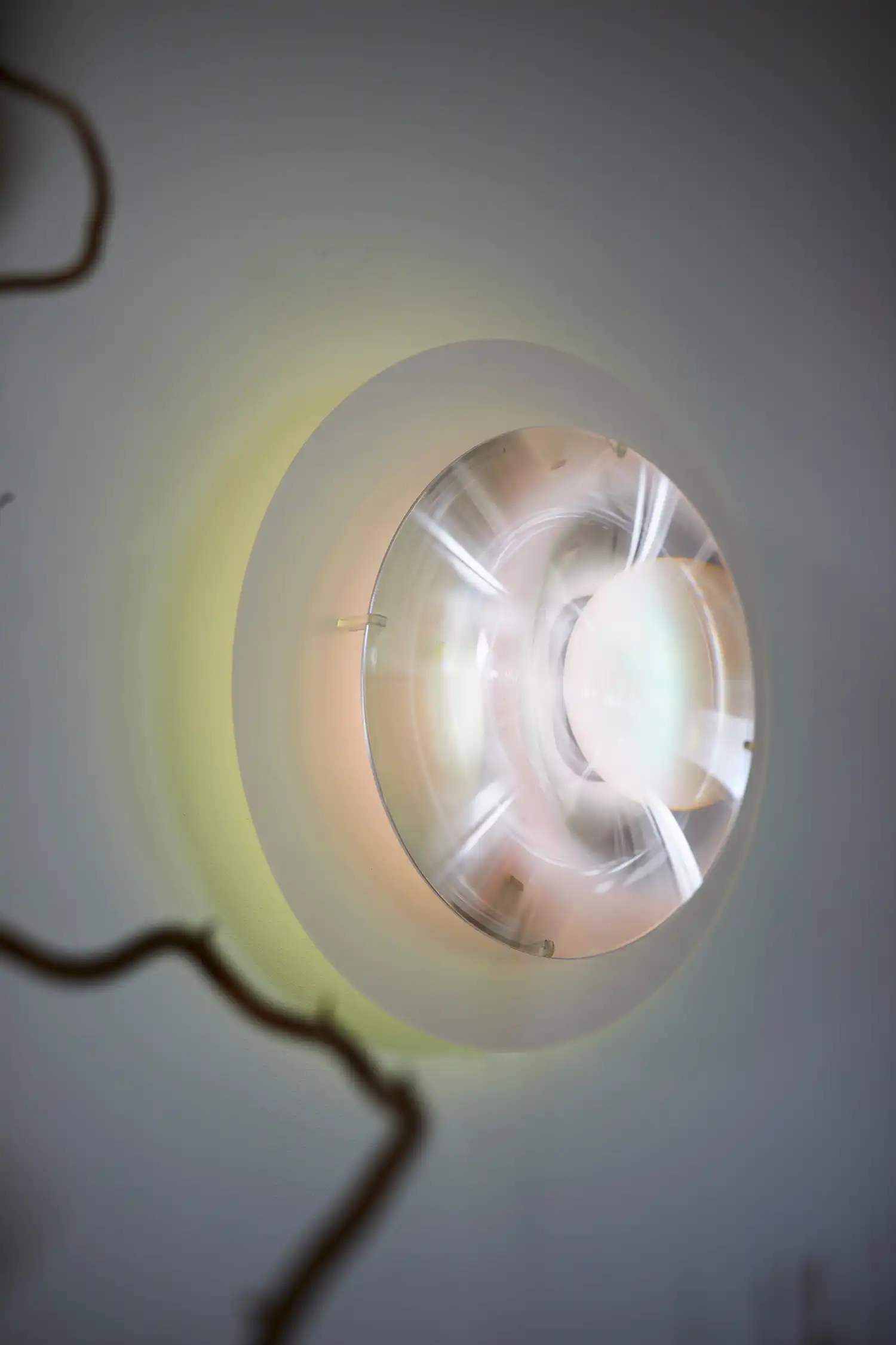 Catrinel Sabaciag’s Light Sculptures: Morfoza, InBloom & Zenit