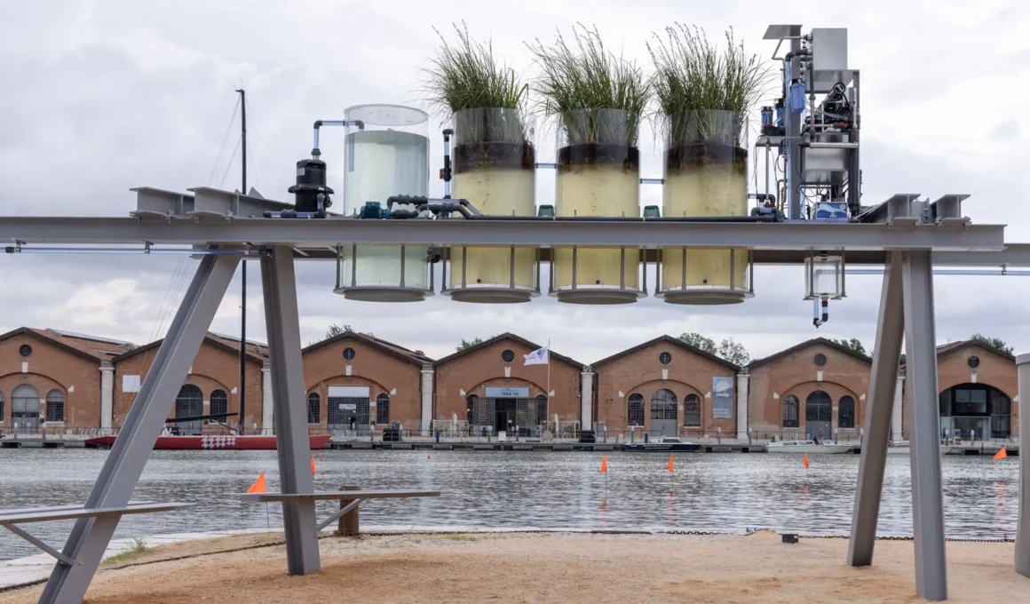 Diller Scofidio + Renfro’s Canal Café: Venice Lagoon Turned into Espresso