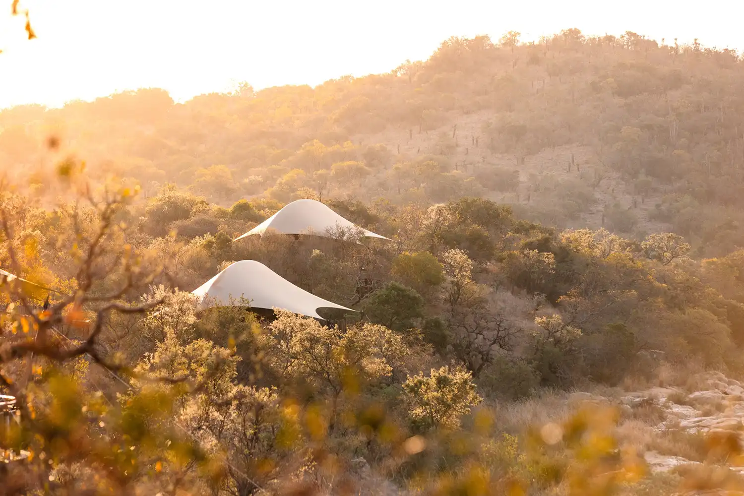 Madwaleni River Lodge: Luxury Safari Design in South Africa
