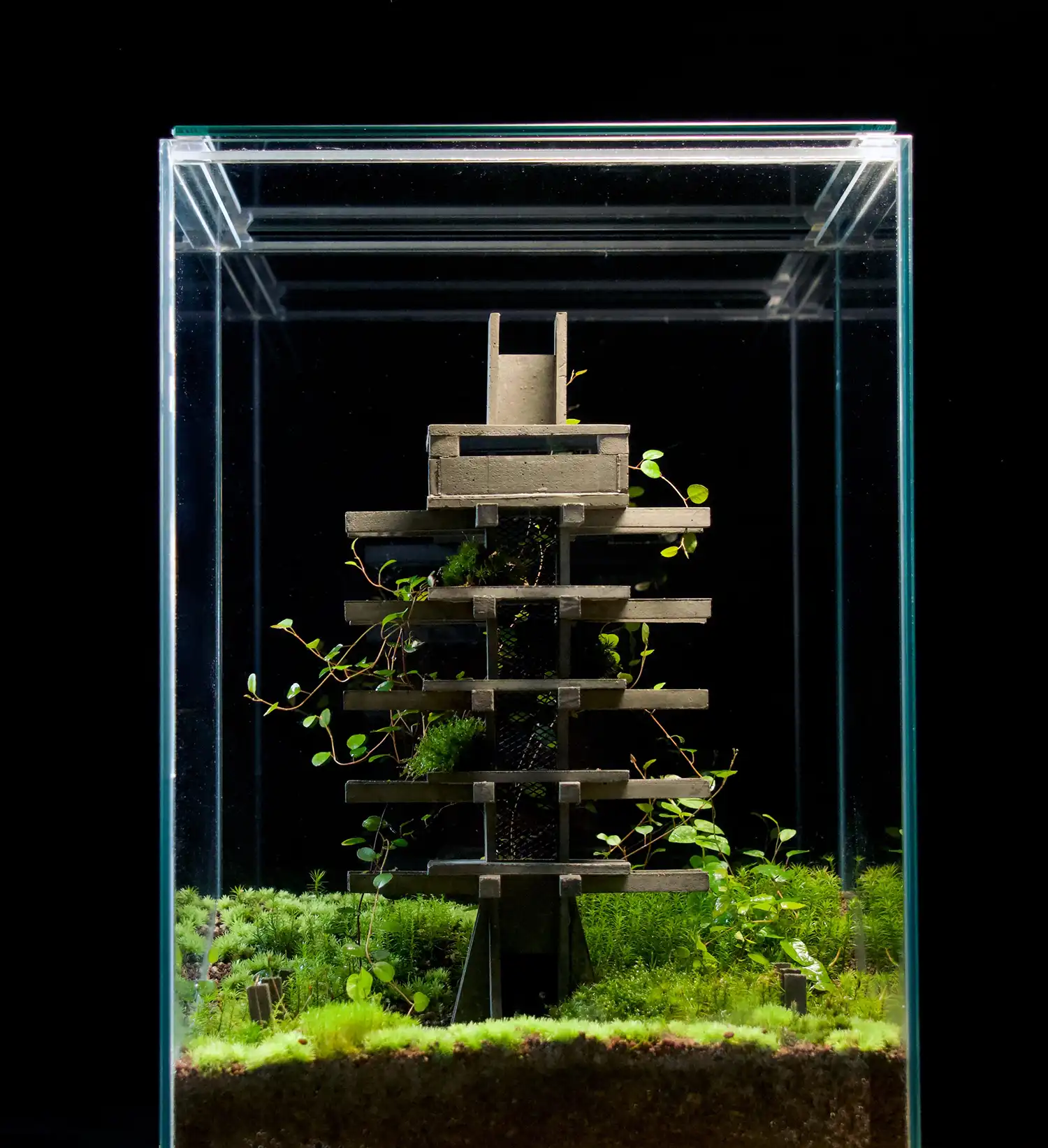 Mondobruto: Brutalist Terrariums Where Nature Reclaims Concrete
