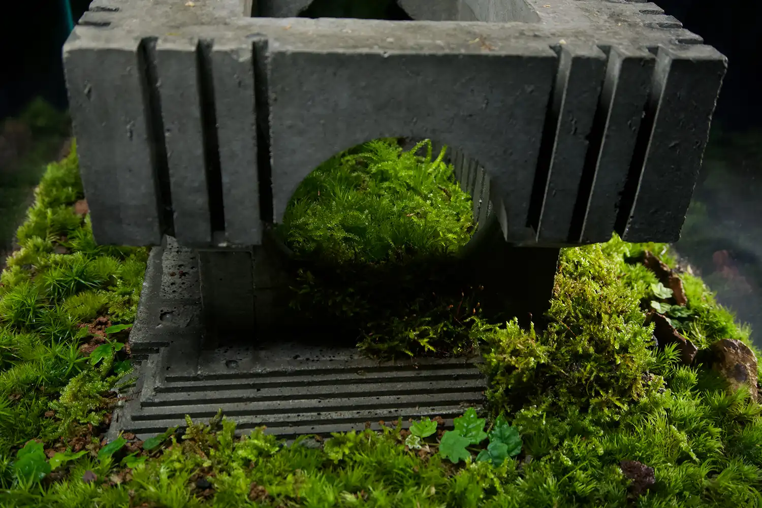Mondobruto: Brutalist Terrariums Where Nature Reclaims Concrete