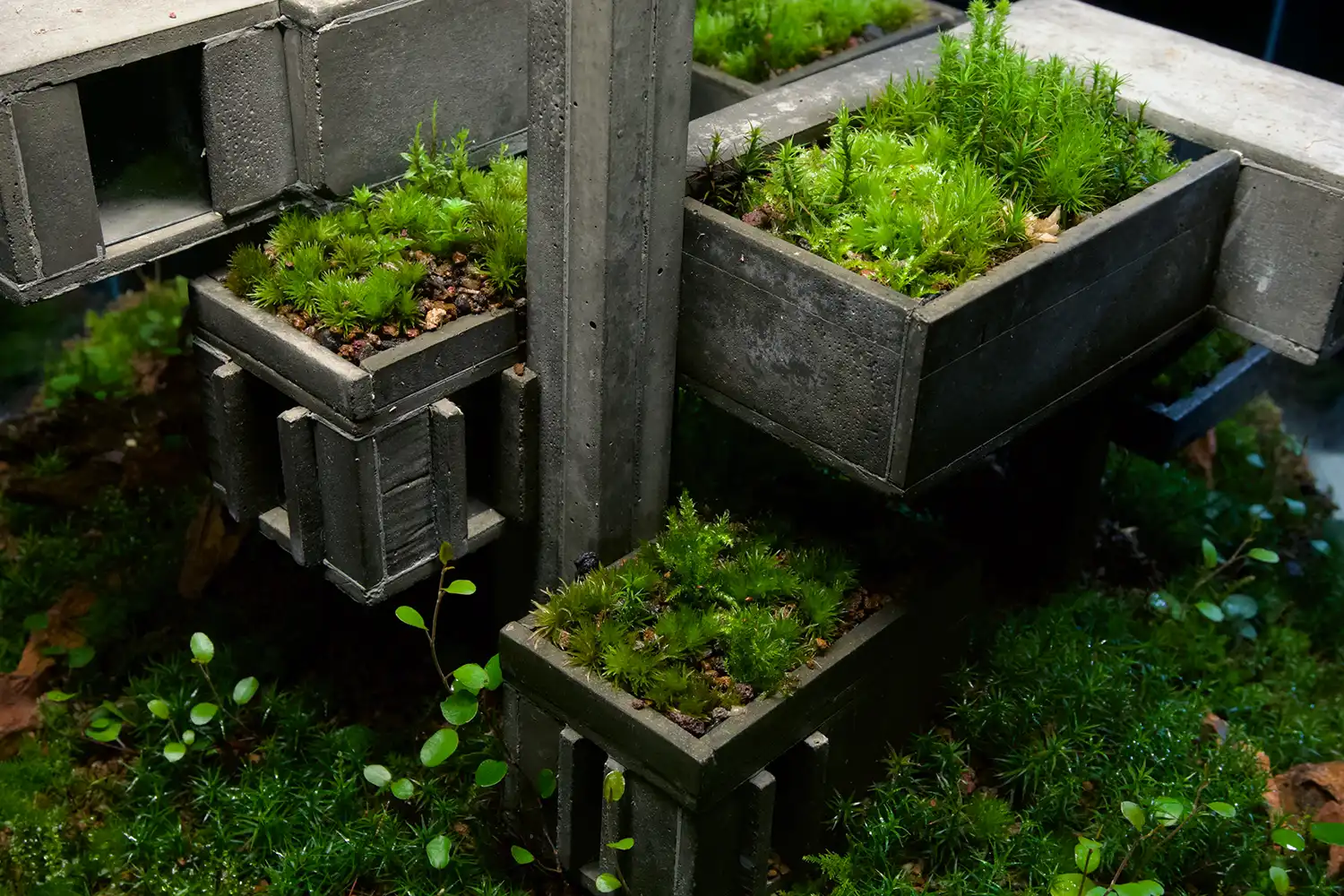 Mondobruto: Brutalist Terrariums Where Nature Reclaims Concrete
