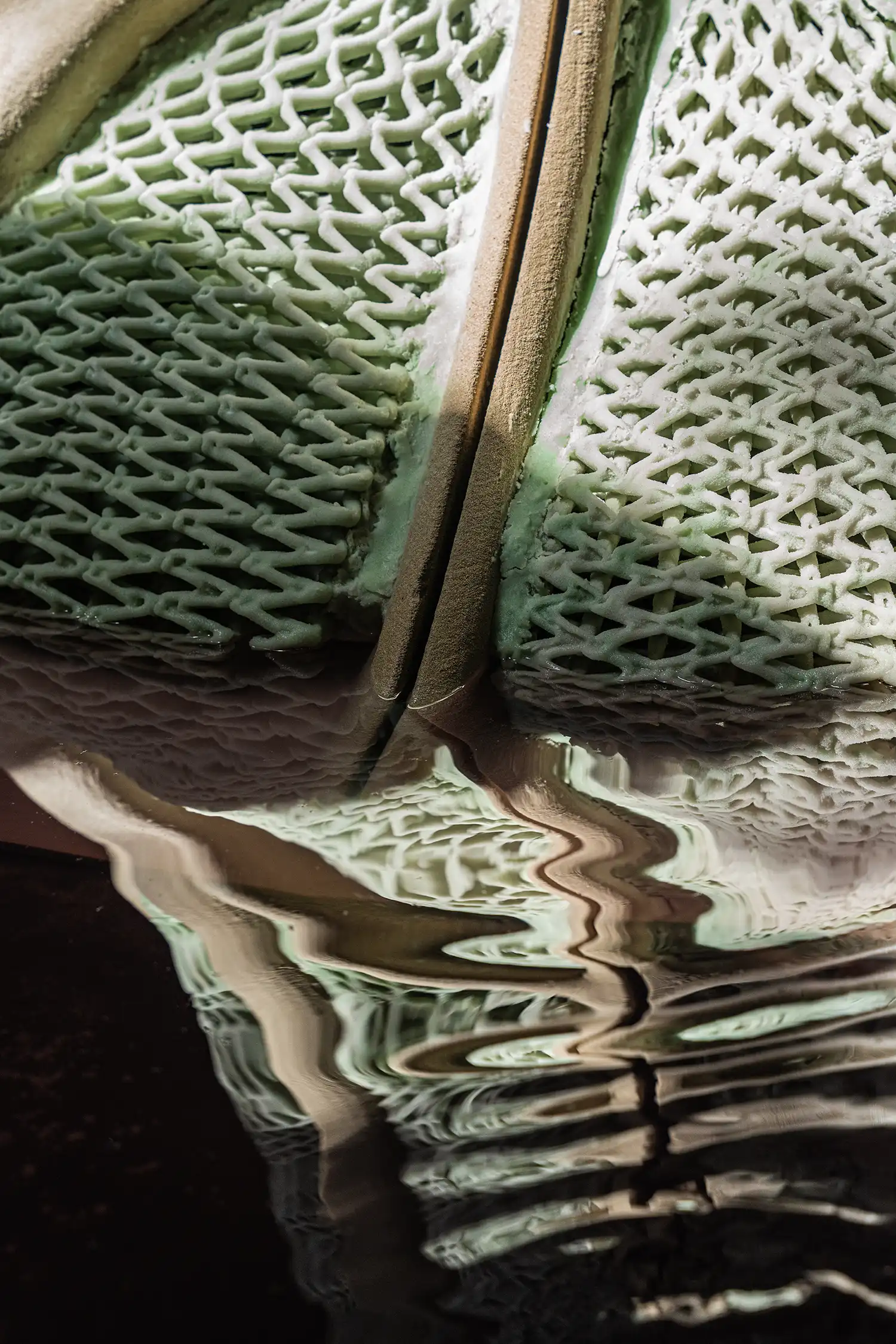 Canada Pavilion at Venice Biennale 2025: 3D-Printed Living Sculpture