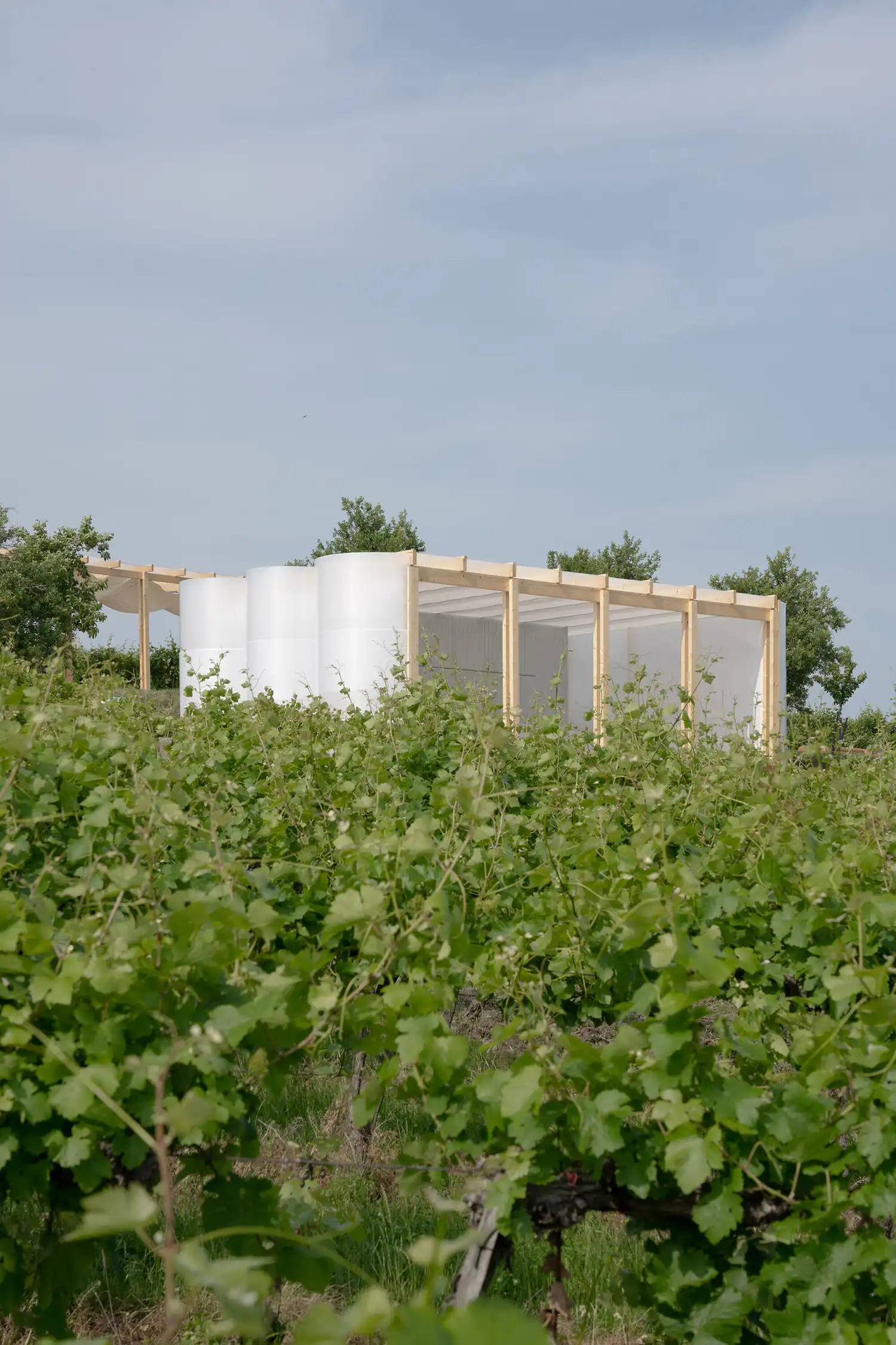 Vineyard Rhythms: Jakub Kolarovič Architects Frame Ženy Víno Funk 2025 with Tactile Temporary Urbanism