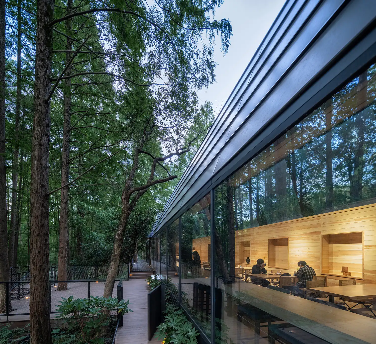 Dongmingshan Senyu Hotel: Sustainable Forest Retreat by GLA Architects | Hangzhou