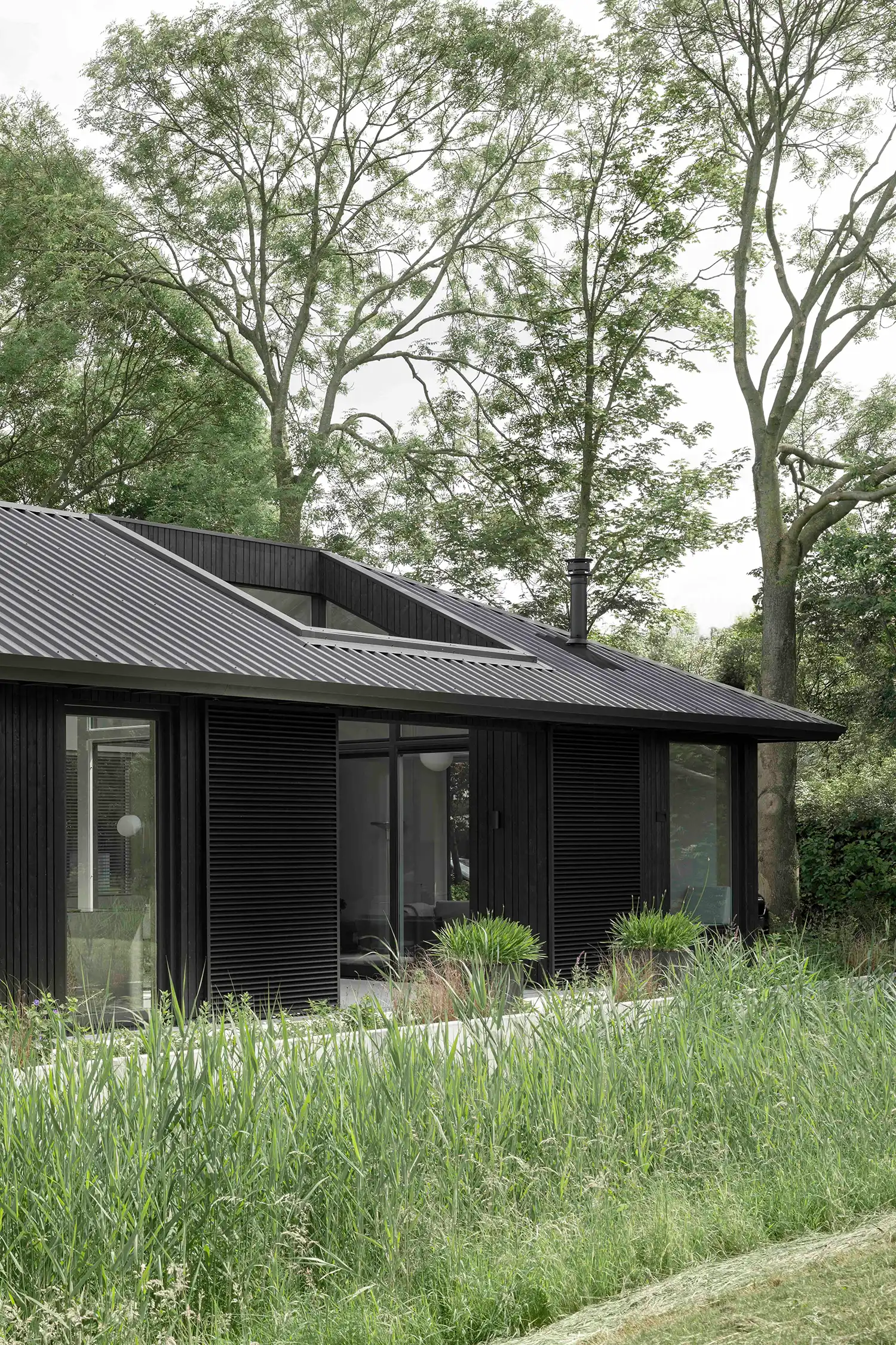 create 5 caption (one sentence each) for the images within the article that resume the project's key features