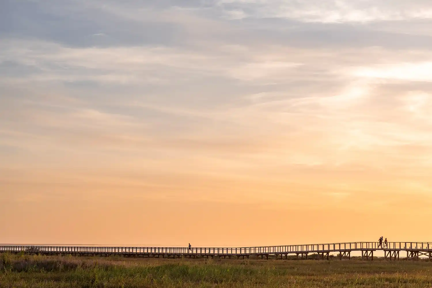 Loures Riverfront Boardwalk: Topiaris' Eco-Design in Lisbon