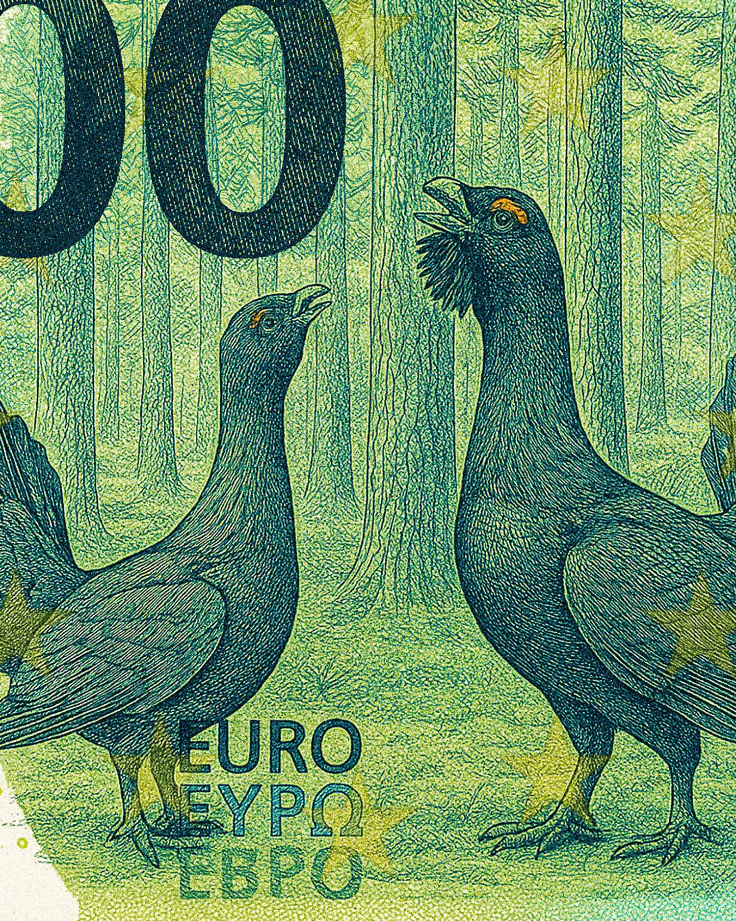 Lithuania Proposes Endangered Birds for New 100 Euro Note Design