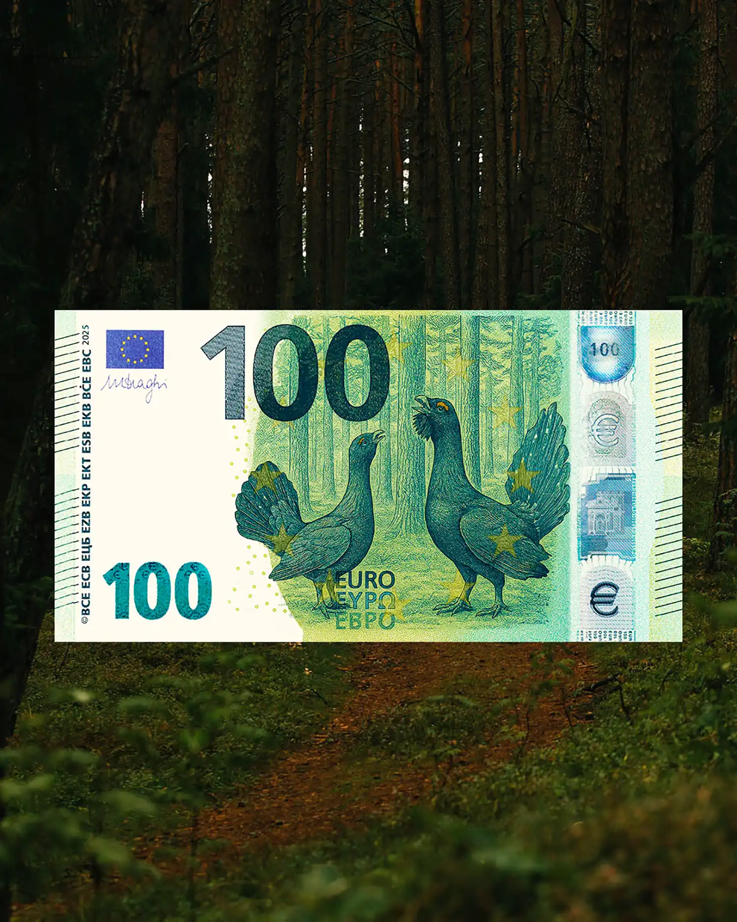 Lithuania Proposes Endangered Birds for New 100 Euro Note Design