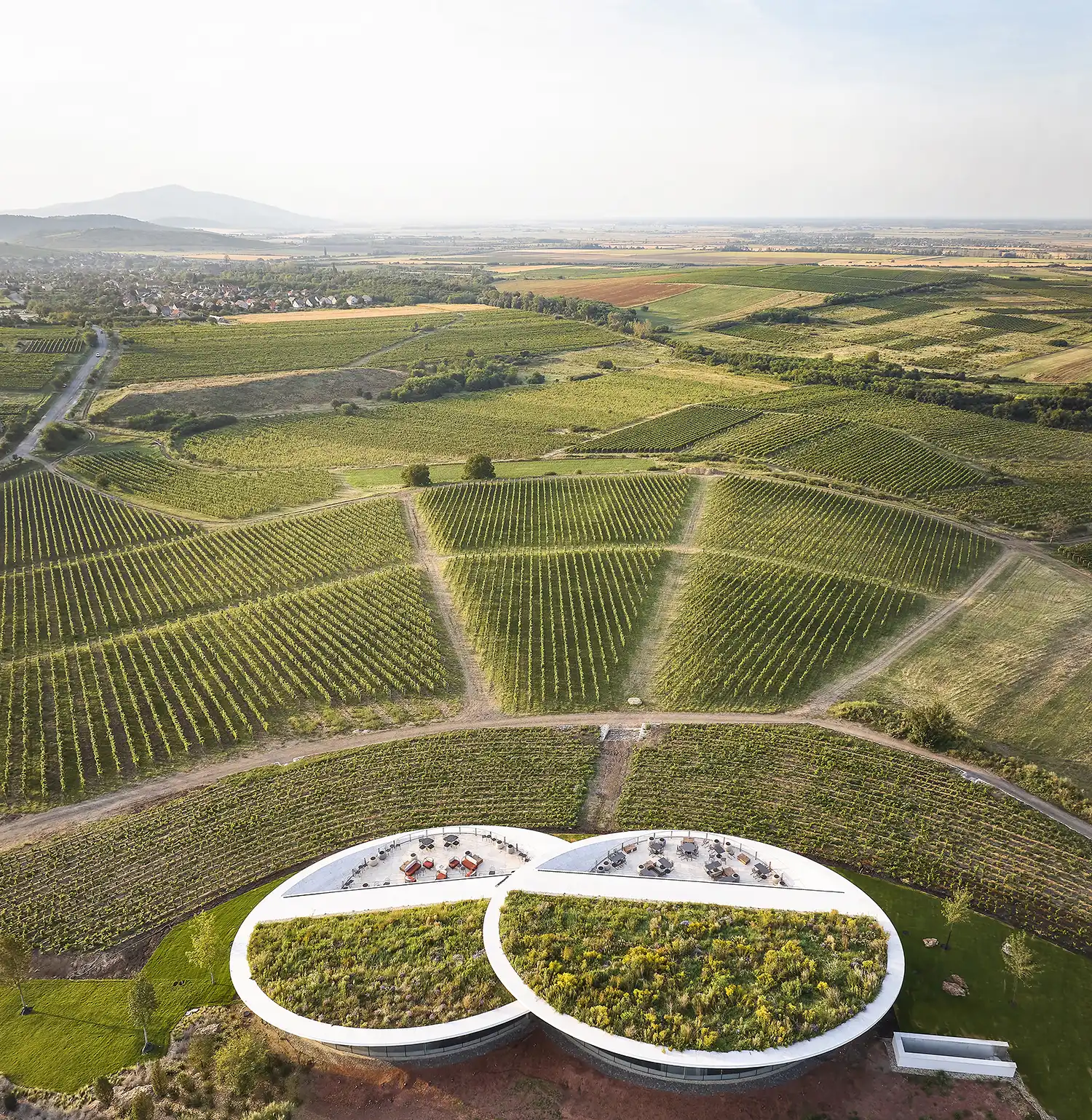 Sauska Tokaj Winery: BORD's Floating Architectural Landmark