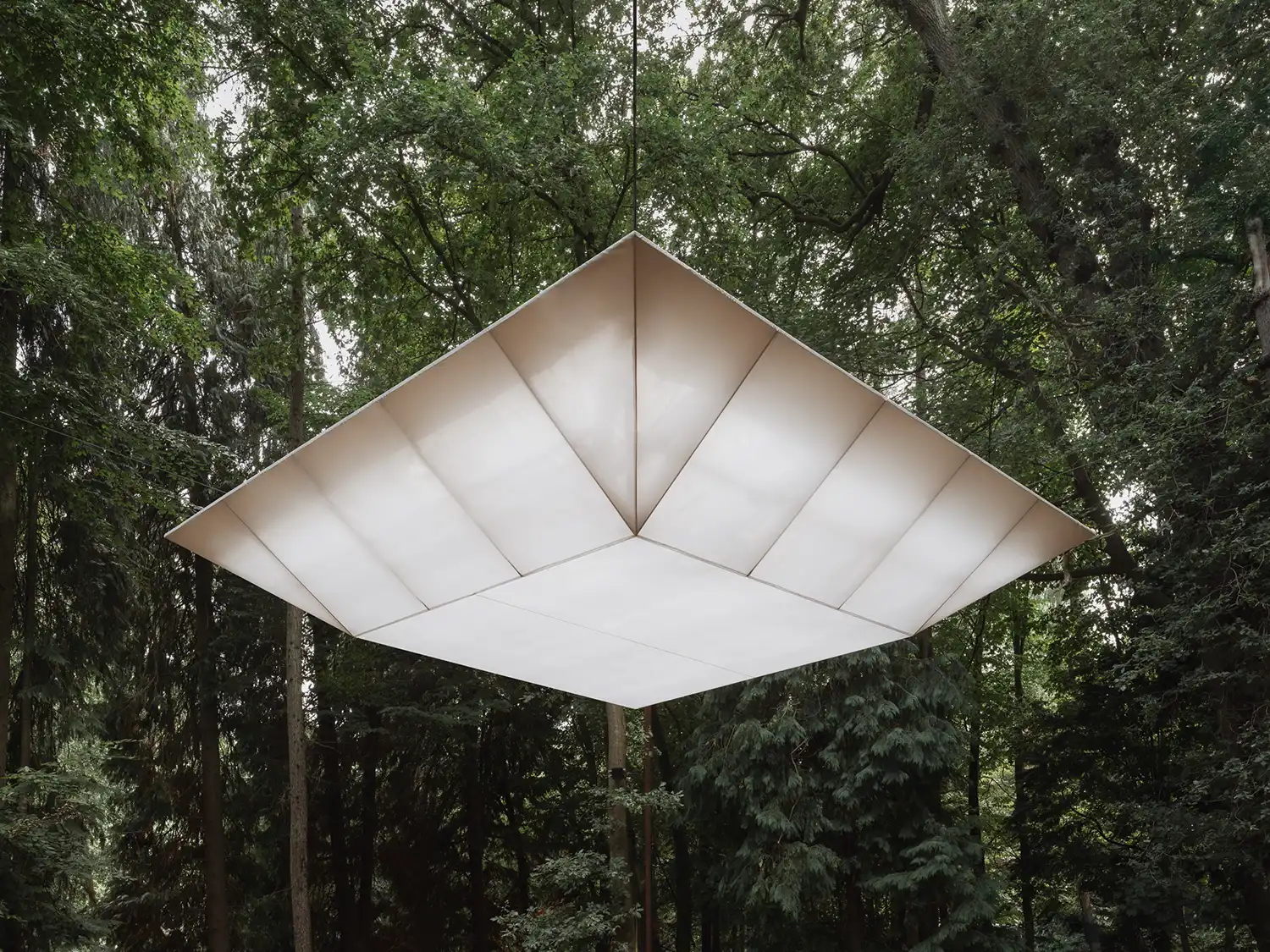EBBA Architects’ Pulse: Sensory Installation Lights Up Houghton Festival Woodlands