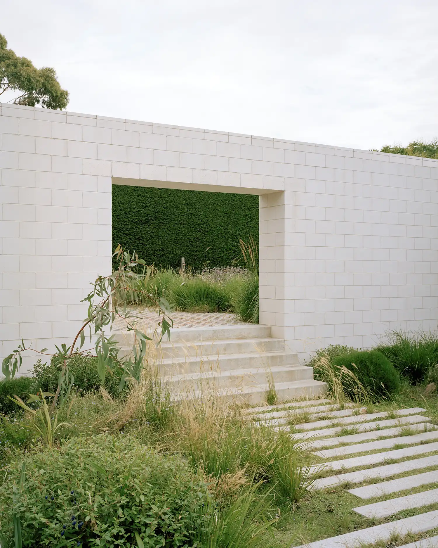 Studio Bright's Hedge and Arbour House in Melbourne