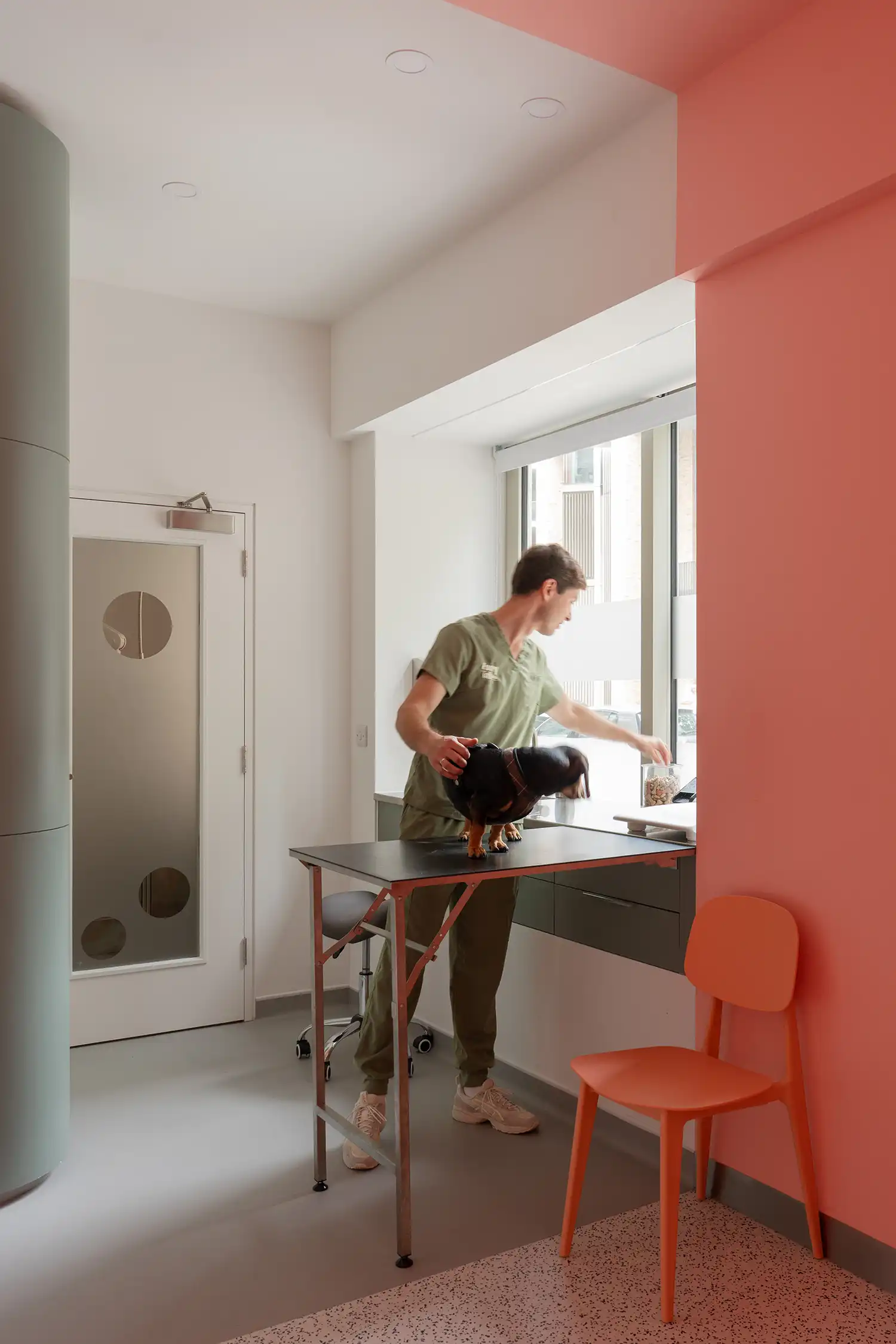 Every Tail Vet Clinic London by KIDZ Studio Design