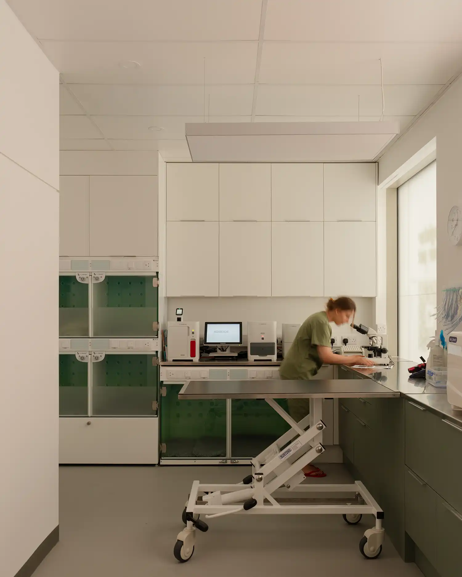 Every Tail Vet Clinic London by KIDZ Studio Design