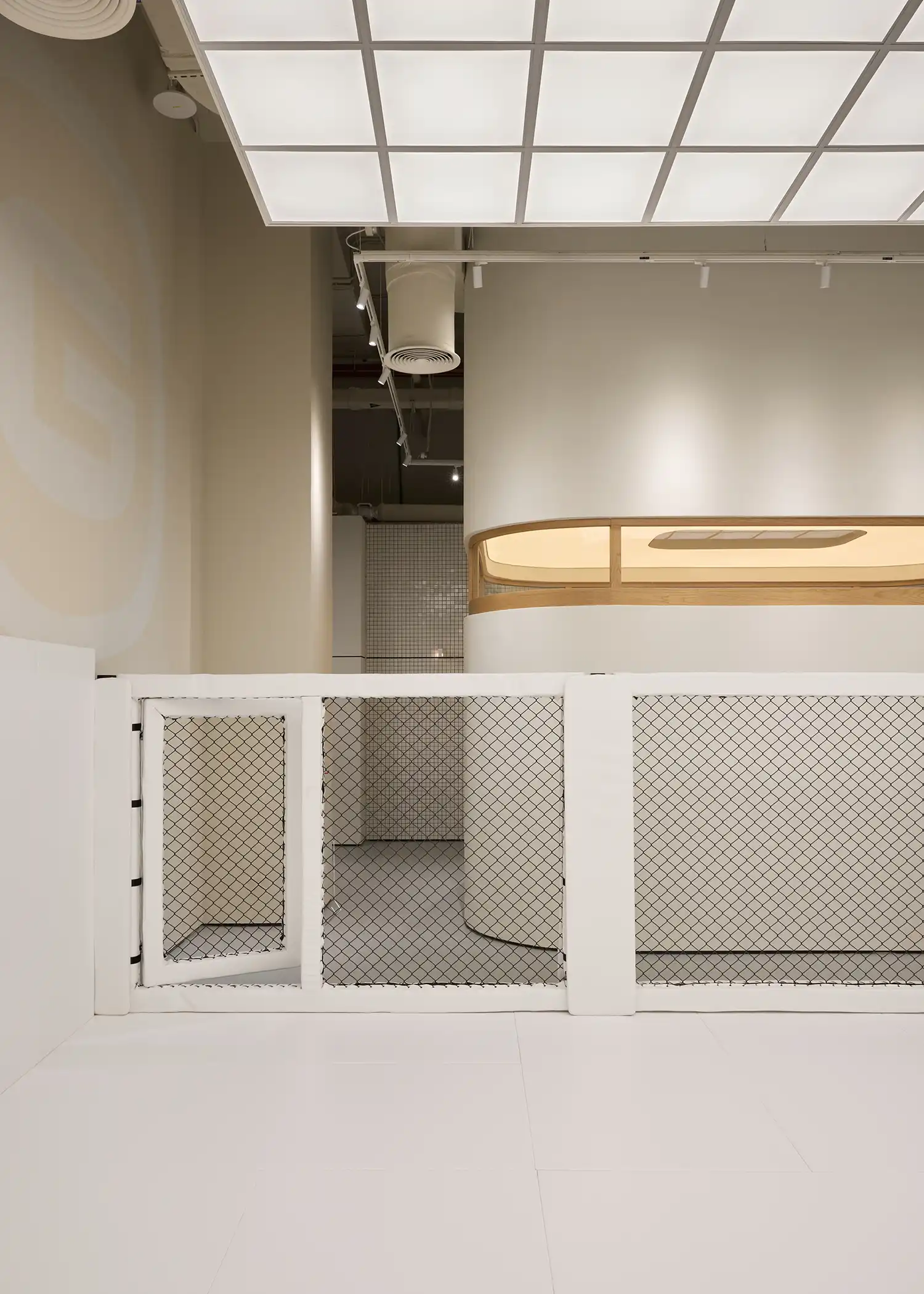 KIDZ Studio Designs Gymnasium | Judo Academy in Abu Dhabi, UAE