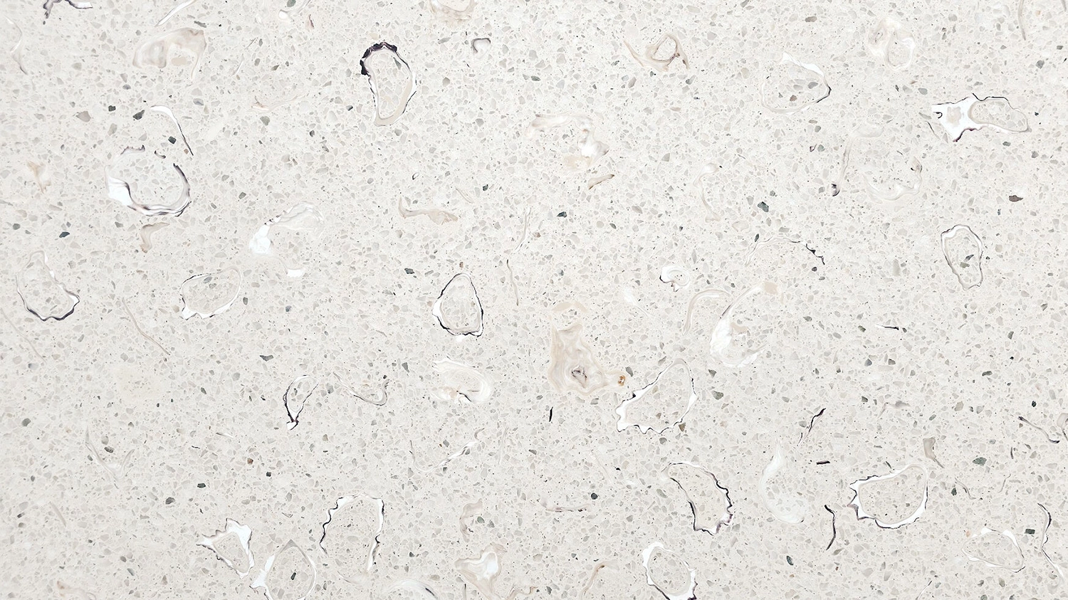 Oyster Terrazzo: Besley & Spresser’s Sustainable Sydney Pavilion