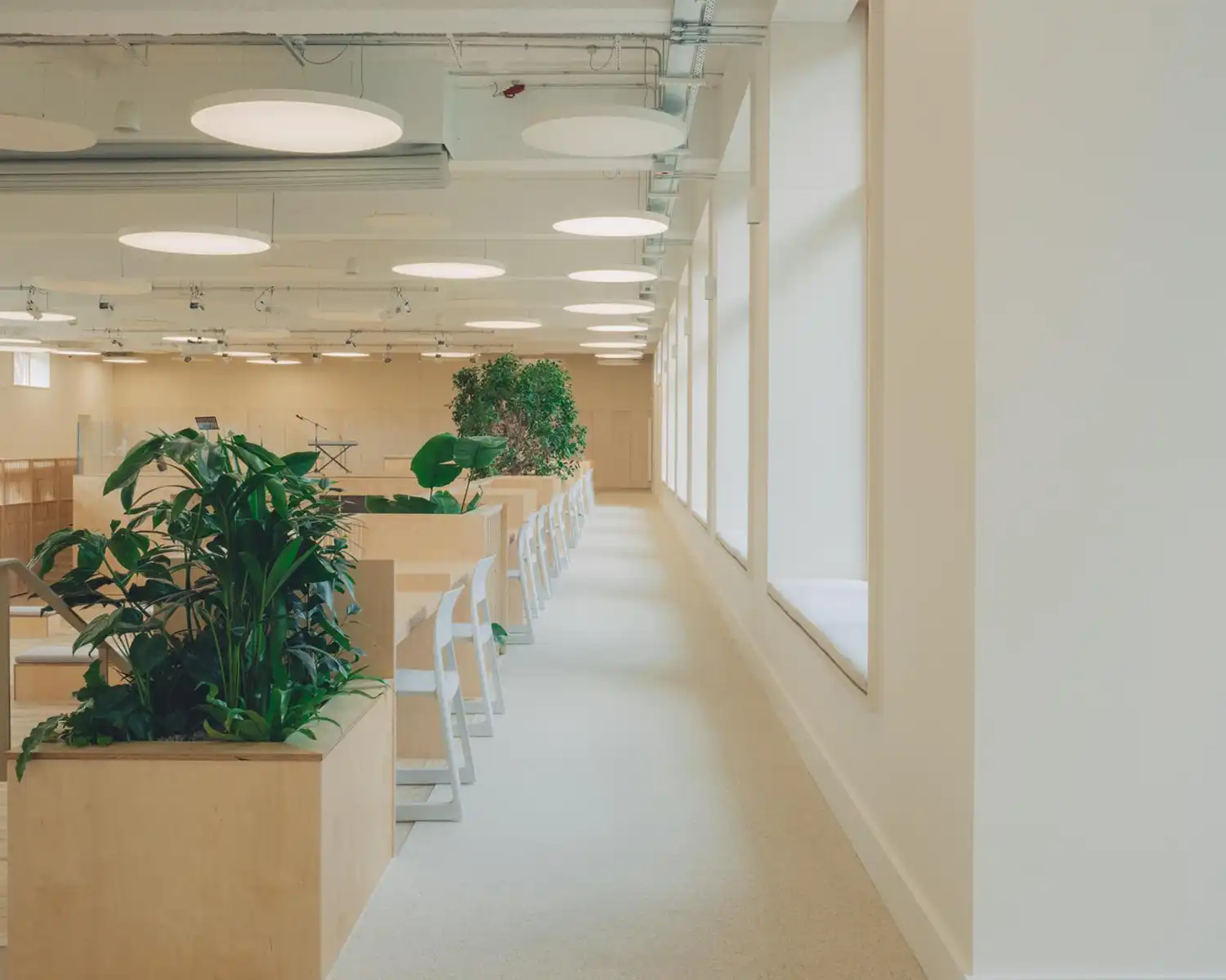 Studio Dera's Pool Retrofit Creates Sustainable London Teaching Hub