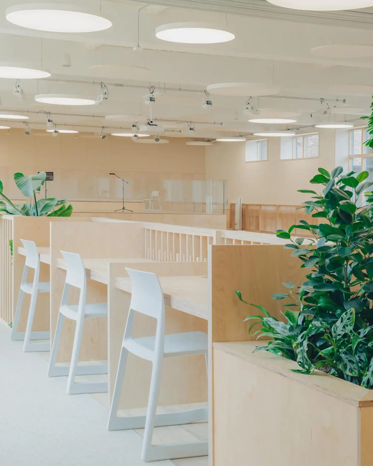 Studio Dera's Pool Retrofit Creates Sustainable London Teaching Hub