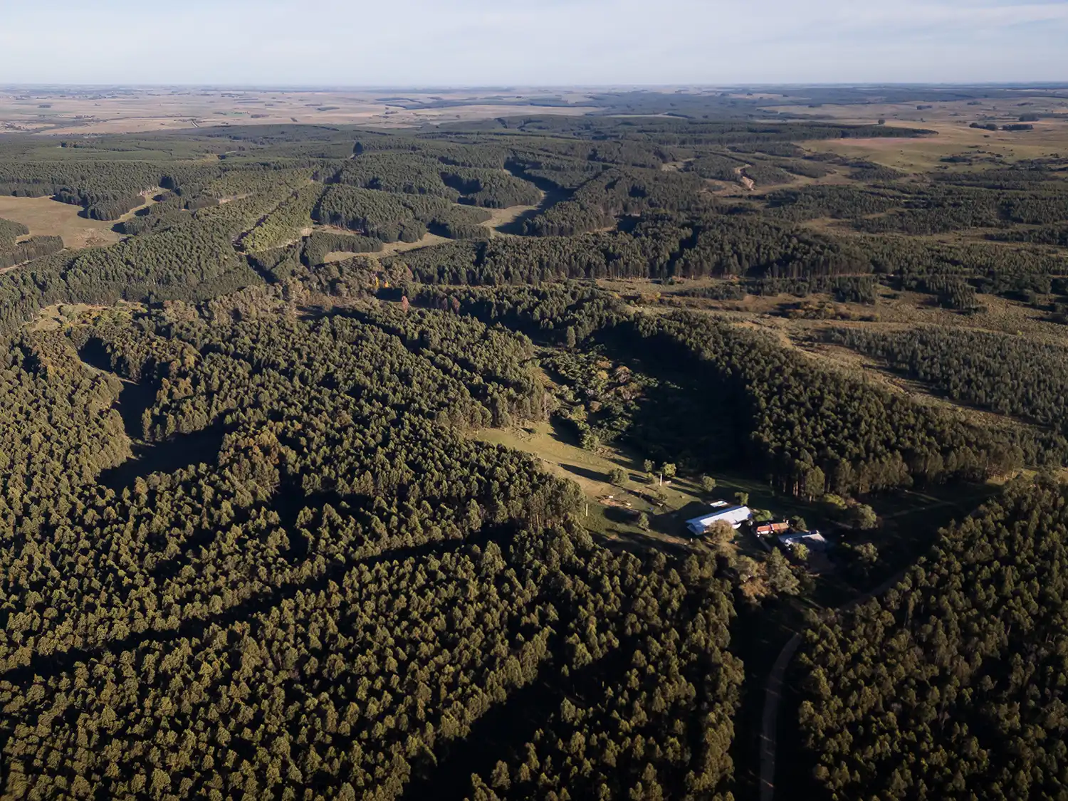 Casa Caballete: Prefabricated Timber Home in Florida, Uruguay