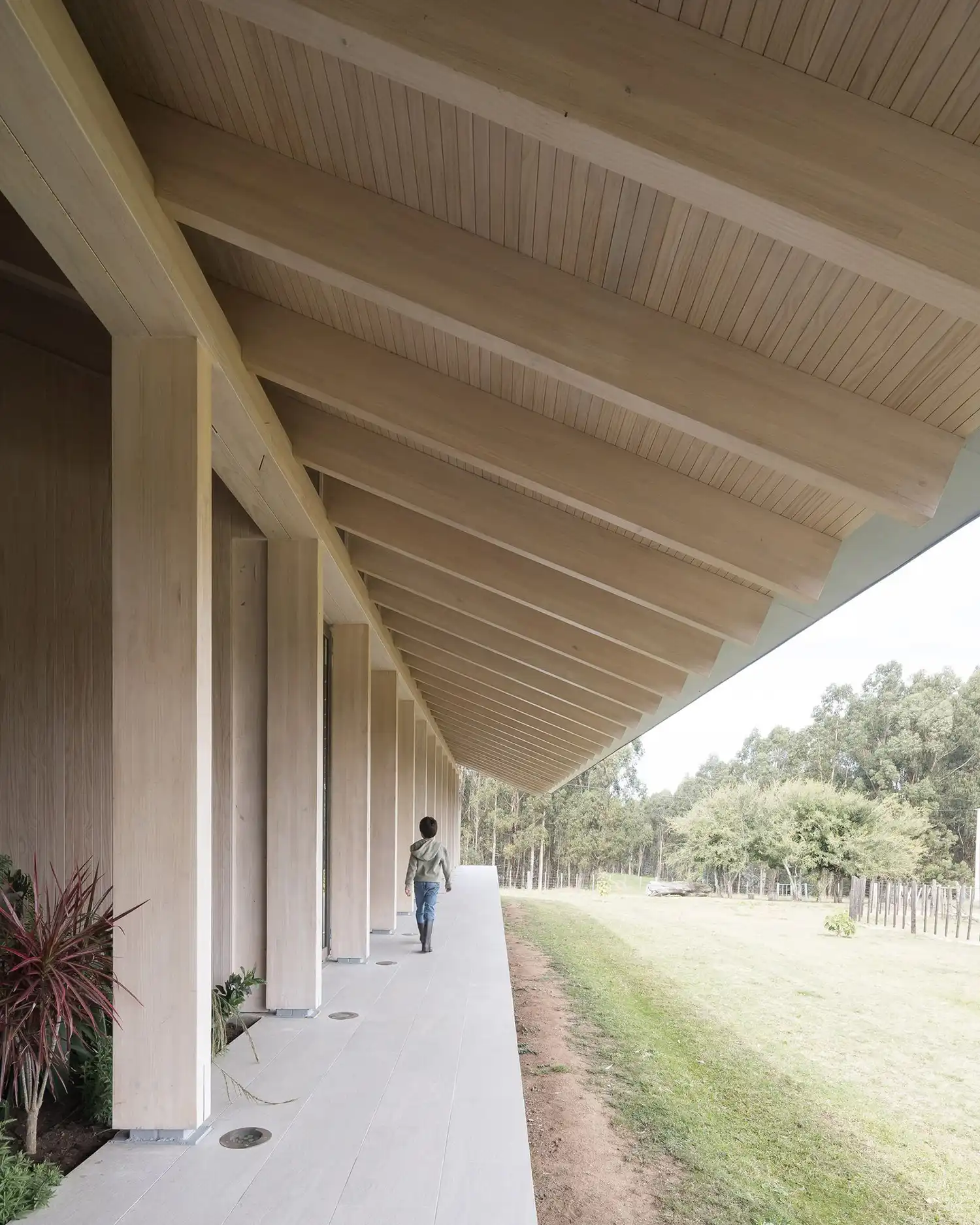 Casa Caballete: Prefabricated Timber Home in Florida, Uruguay