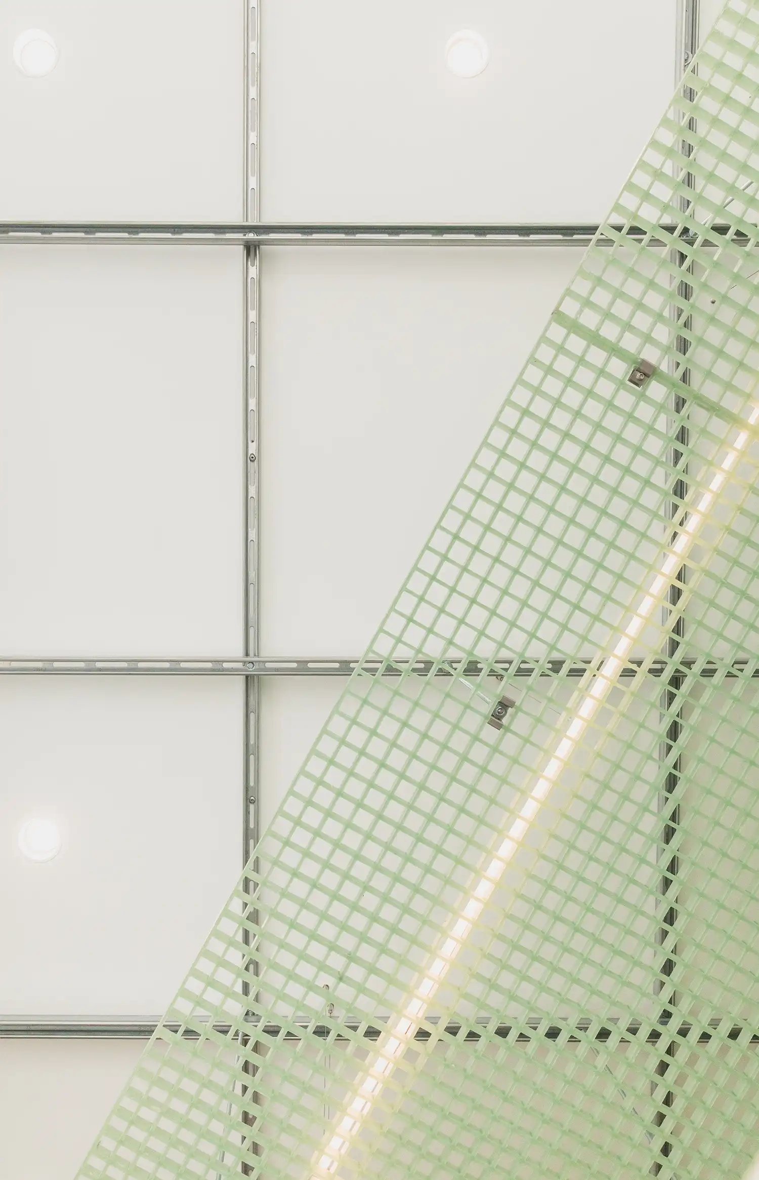 StudioAC uses Translucent Green FRP for Misc Coffee in Toronto