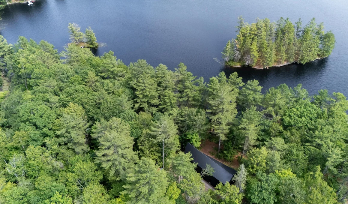 Aerial view of Angle of Repose black metal Passive House lake cabin by Reasonable Projects in Algonquin Highlands forest.