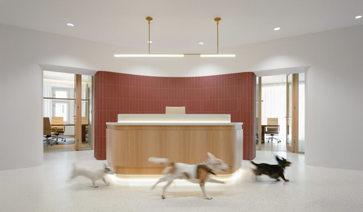 Modern canine-centric office reception featuring a wood desk, curved terracotta wall, and small dogs running on seamless, polished flooring.