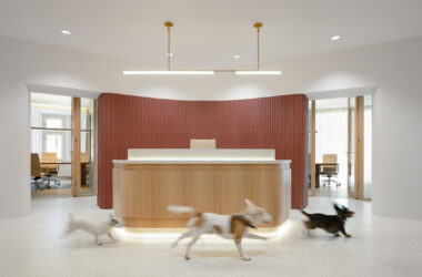 Modern canine-centric office reception featuring a wood desk, curved terracotta wall, and small dogs running on seamless, polished flooring.