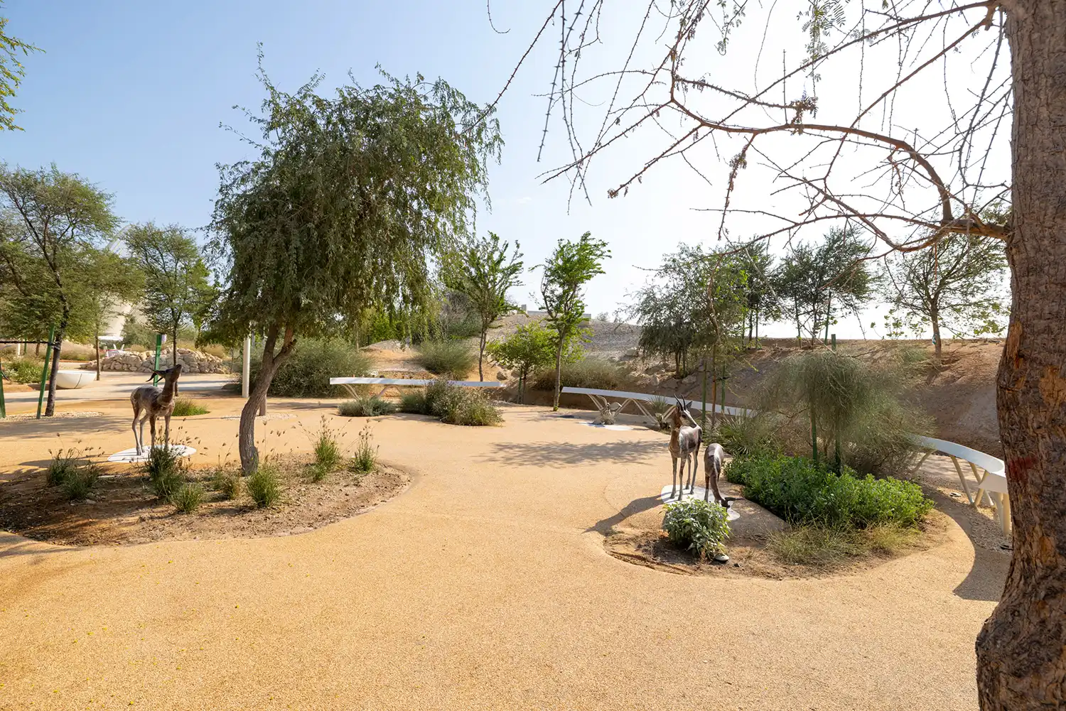 Foster + Partners' Zayed Museum: Desert Sustainable Architecture
