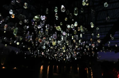 Close-up of James Tapscott's The Beholder light installation, showing glowing, magnified flora samples encased in clear resin bulbs.